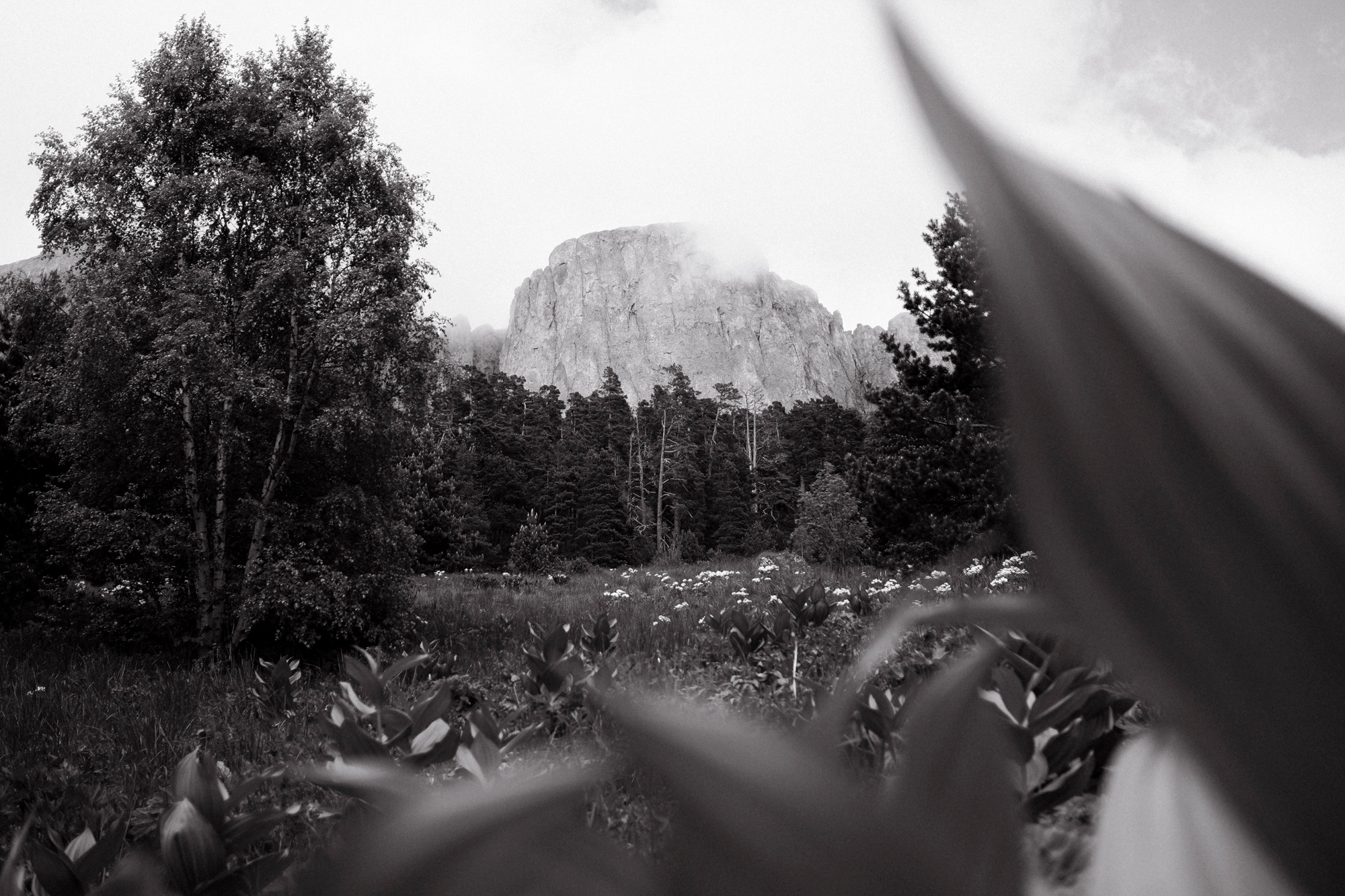 Адыгея. Фотограф Дмитрий Олрайт | Калуга, Россия