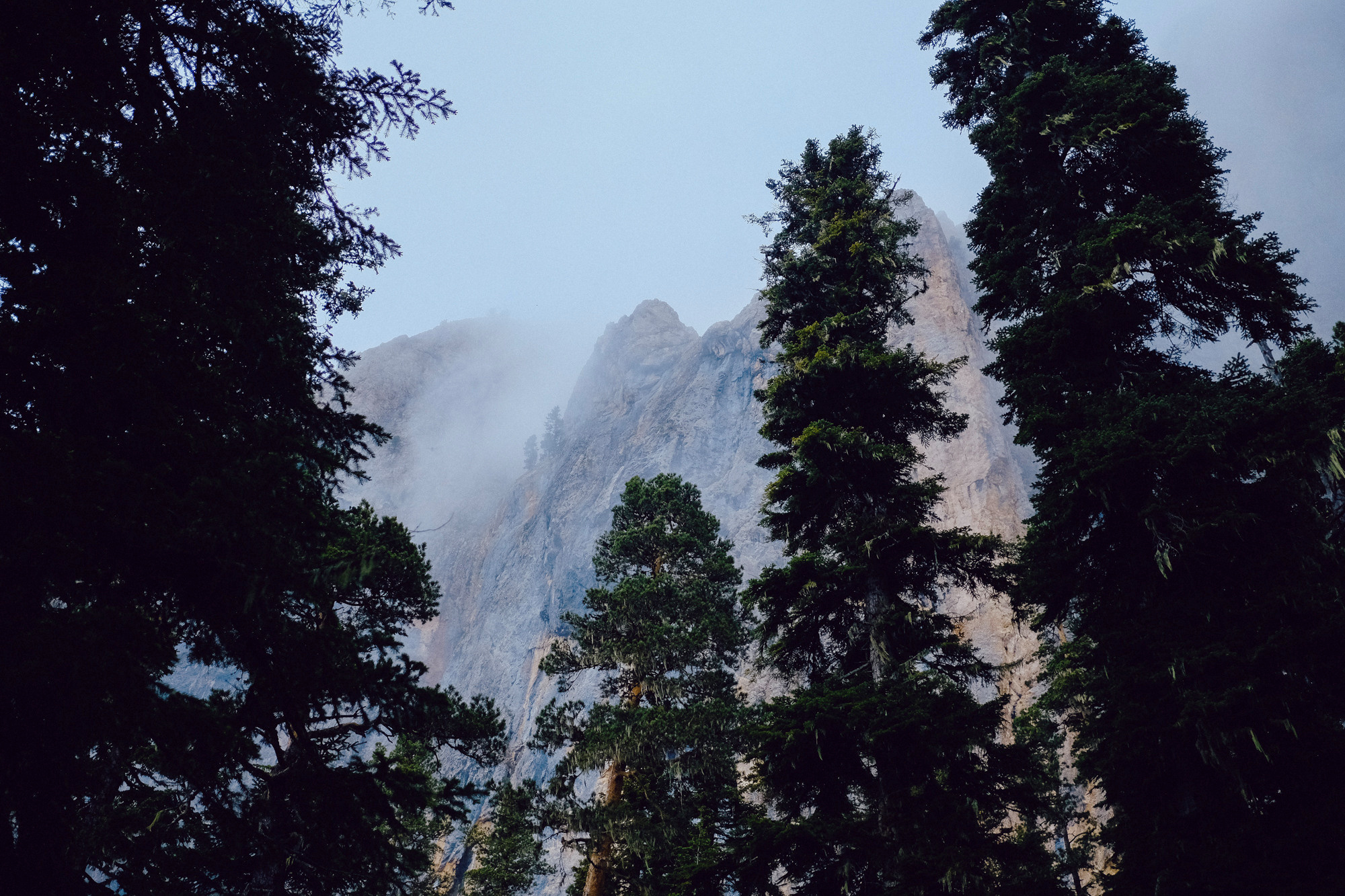 Адыгея. Фотограф Дмитрий Олрайт | Калуга, Россия