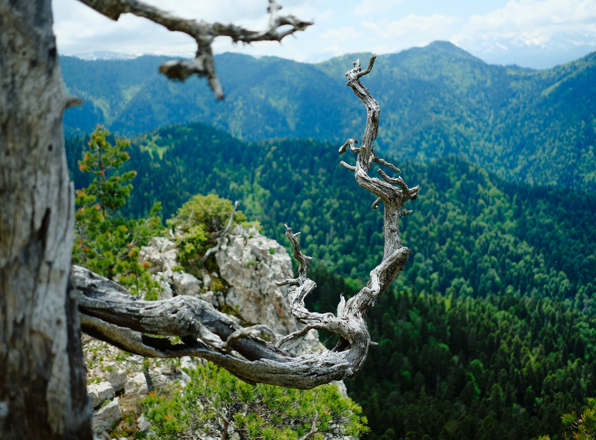 Адыгея. Фотограф Дмитрий Олрайт | Калуга, Россия