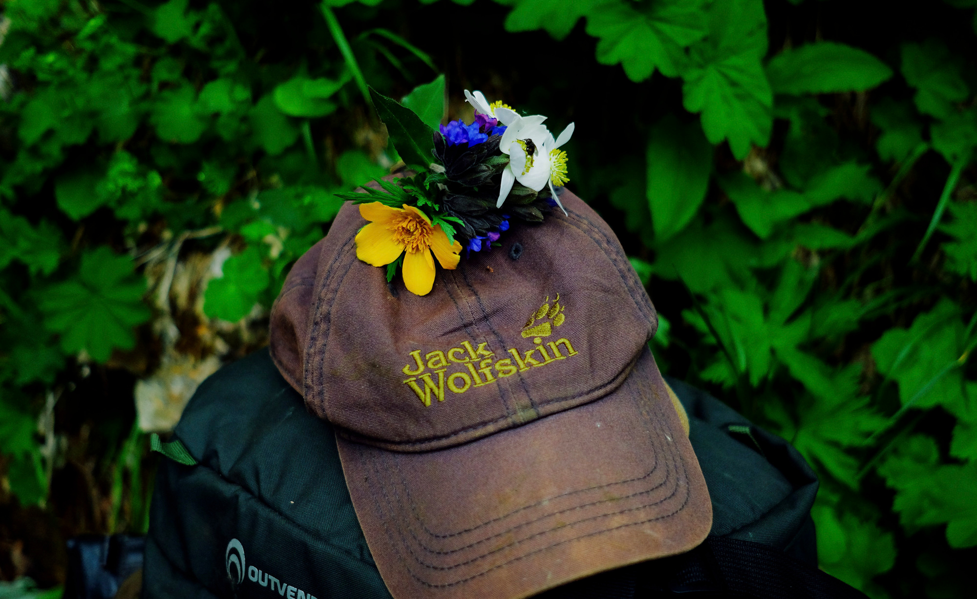 Адыгея. Фотограф Дмитрий Олрайт | Калуга, Россия