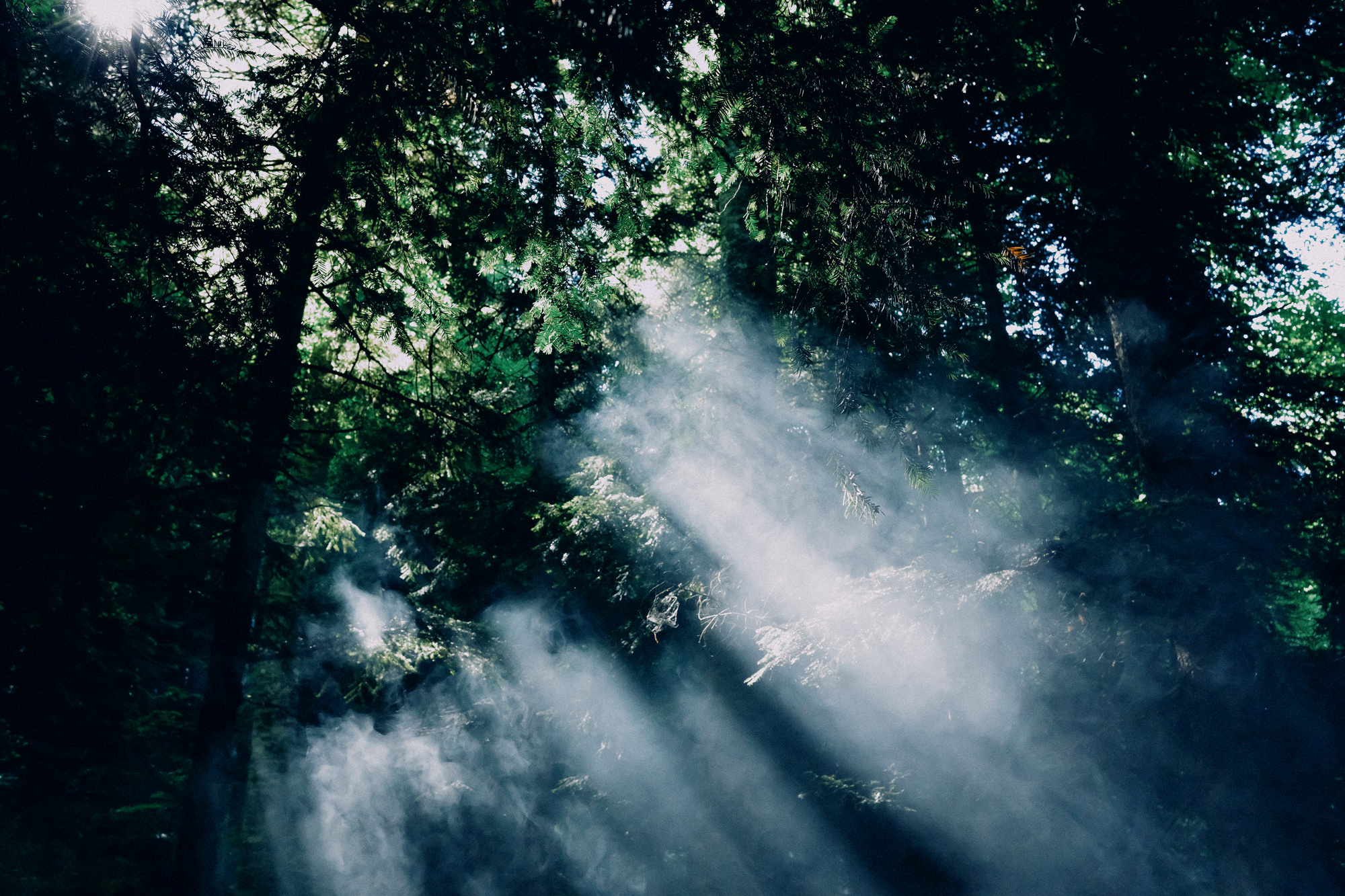 Адыгея. Фотограф Дмитрий Олрайт | Калуга, Россия