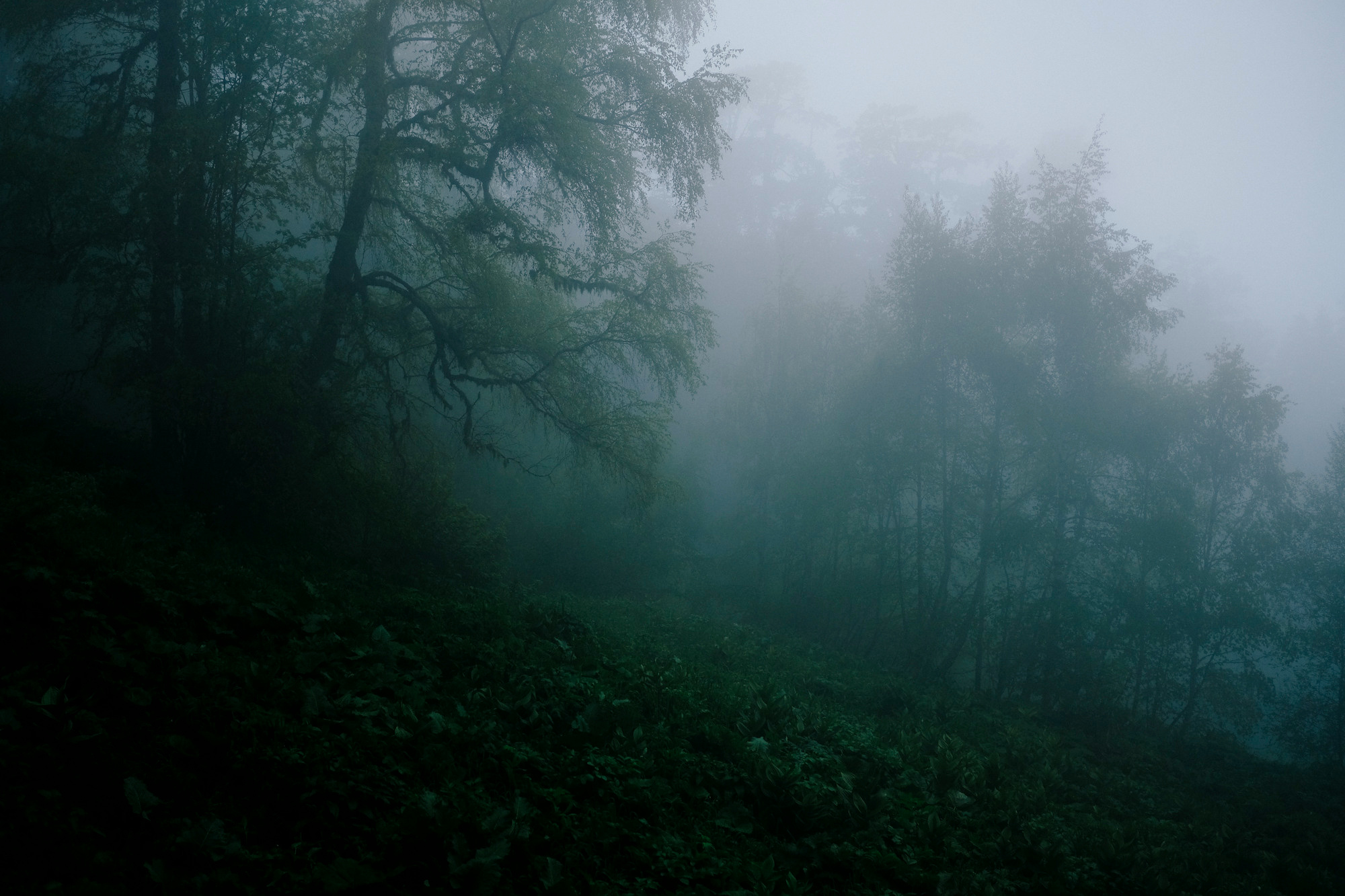 Адыгея. Фотограф Дмитрий Олрайт | Калуга, Россия