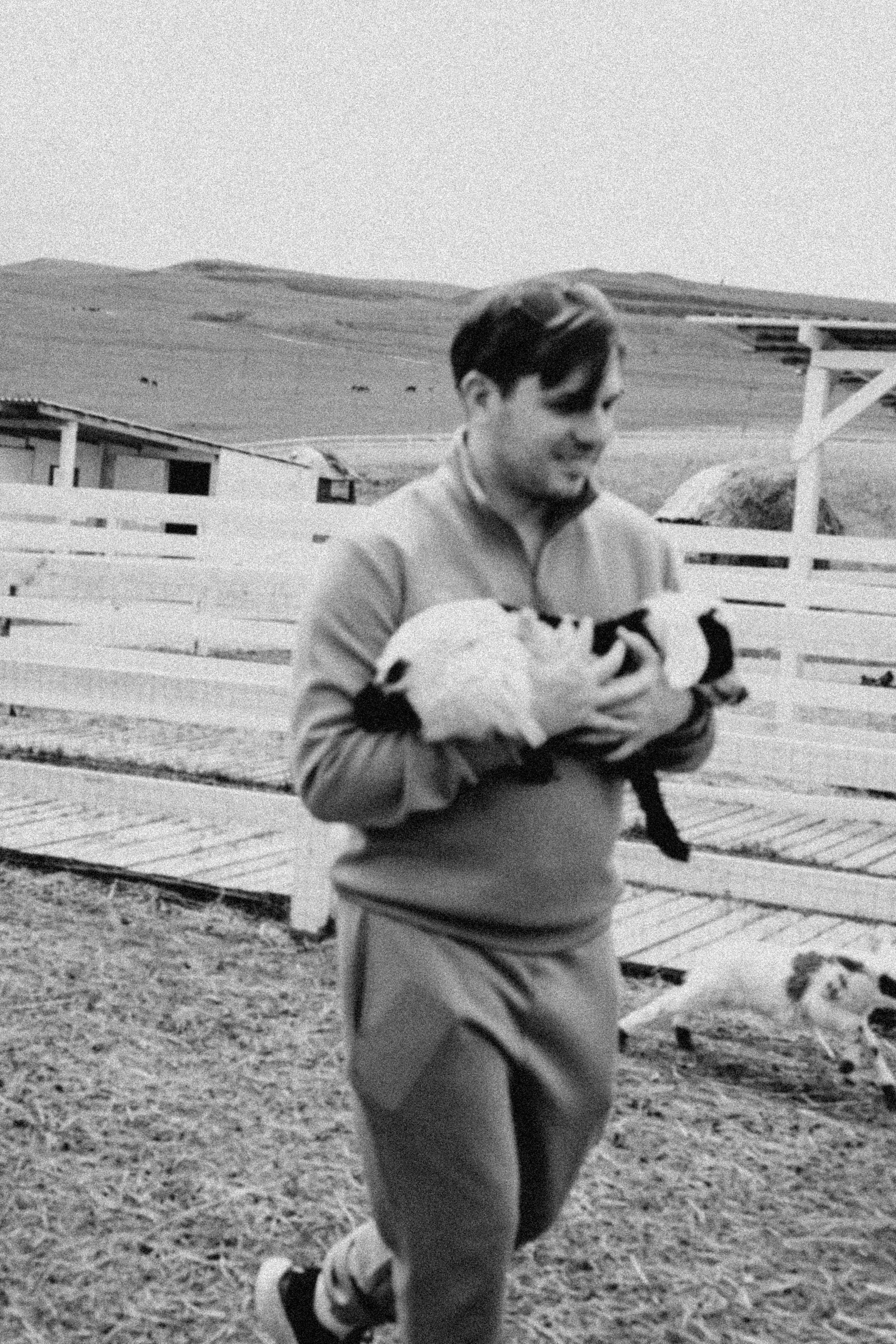 Ферма Альпак. Профессиональный фотограф, Санкт-Петербург — Виктория Богомолова