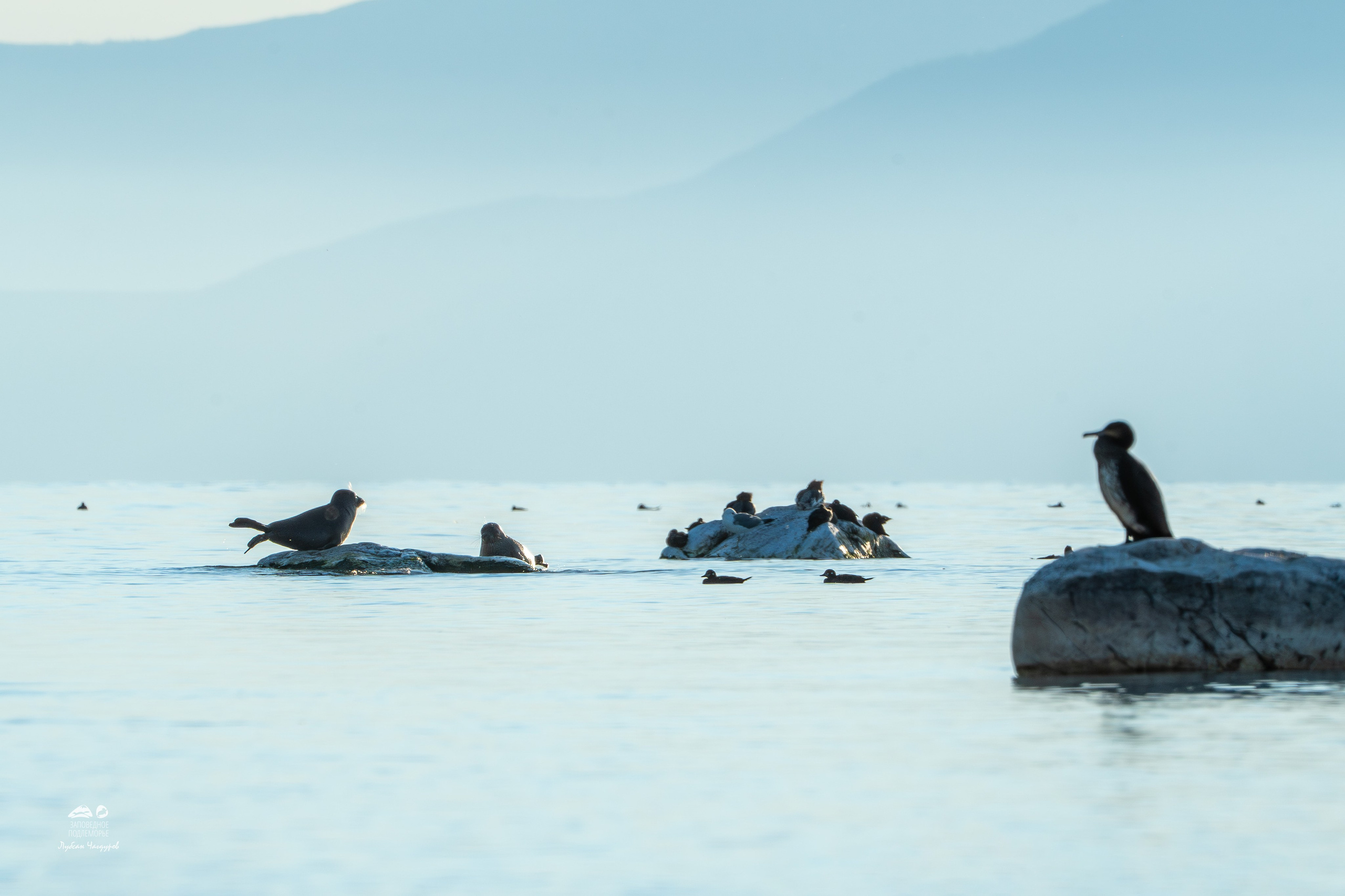 Фотограф Лубсан Чагдуров