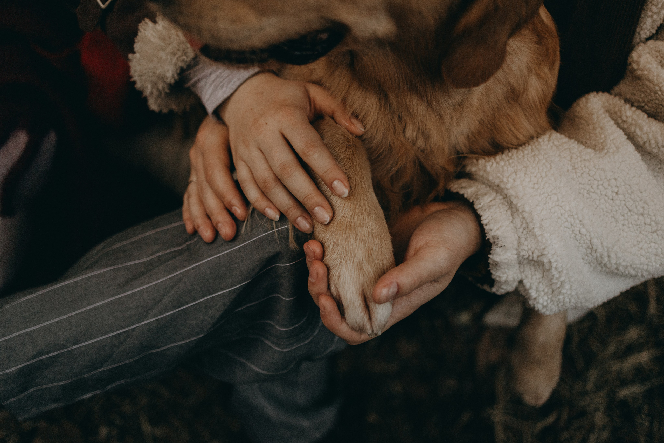Вегас, Веник и их семья. Фотограф — Анималист | Санкт-Петербург