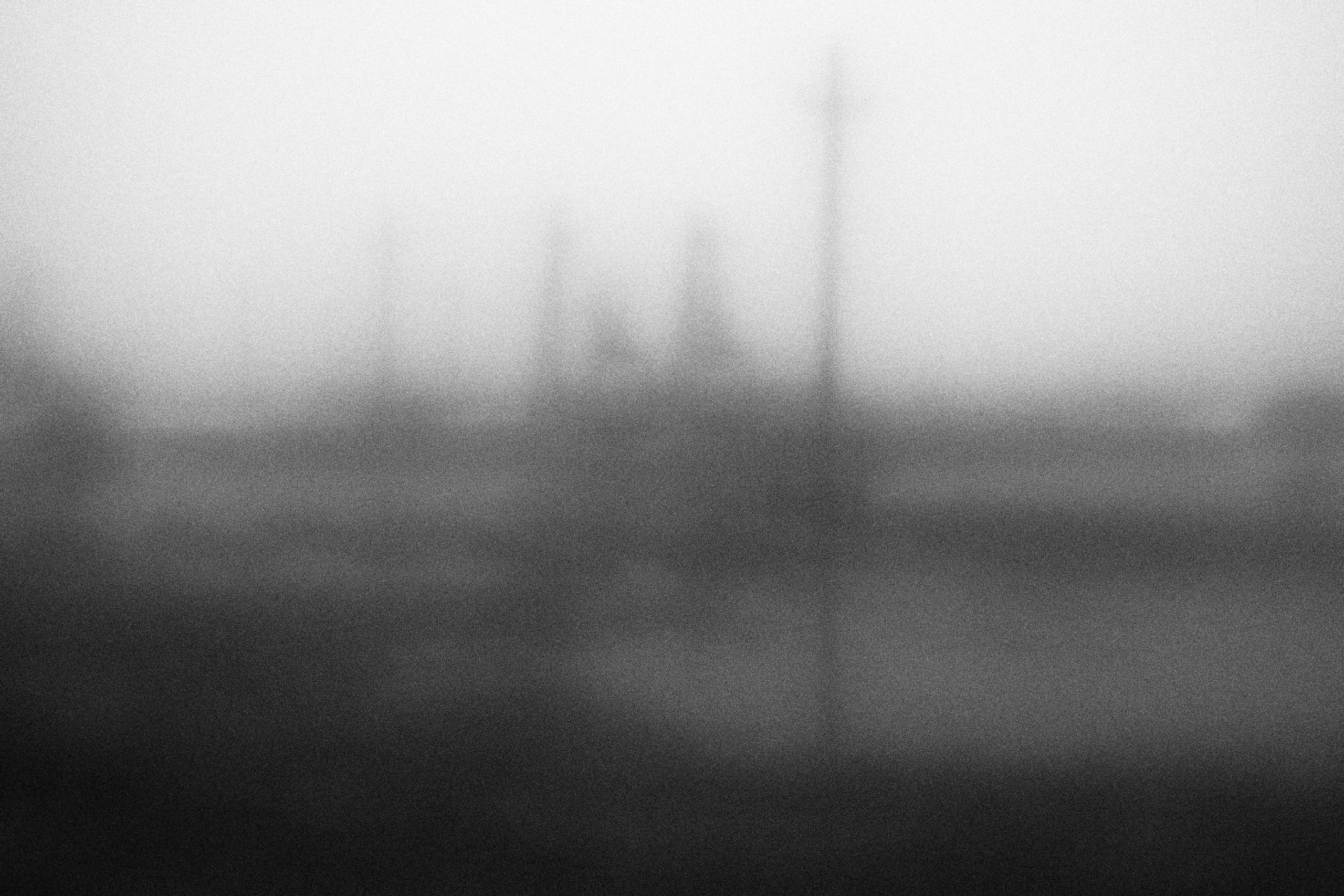 «Видеть. Чувствовать. Сохранять»