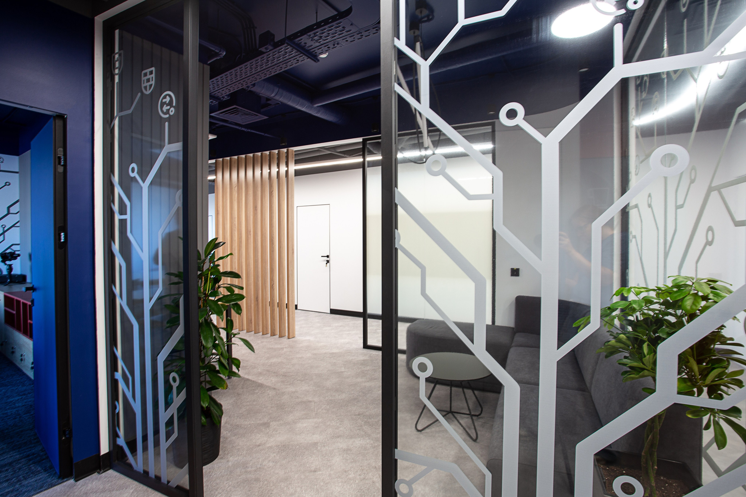 Офисы Инфотех. Контент фотограф, съемка для маркетплейсов, фуд съемка и репортажи в Новосибирске Ралия Галеева