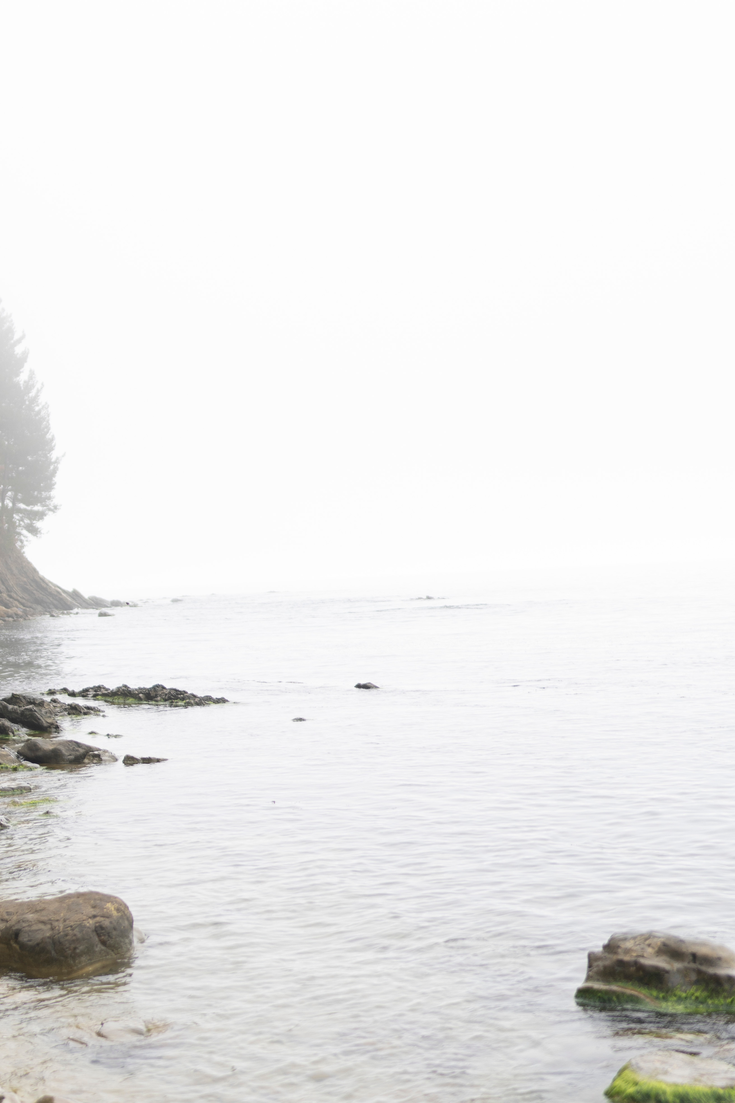 ISLAND STONE. Jorredi