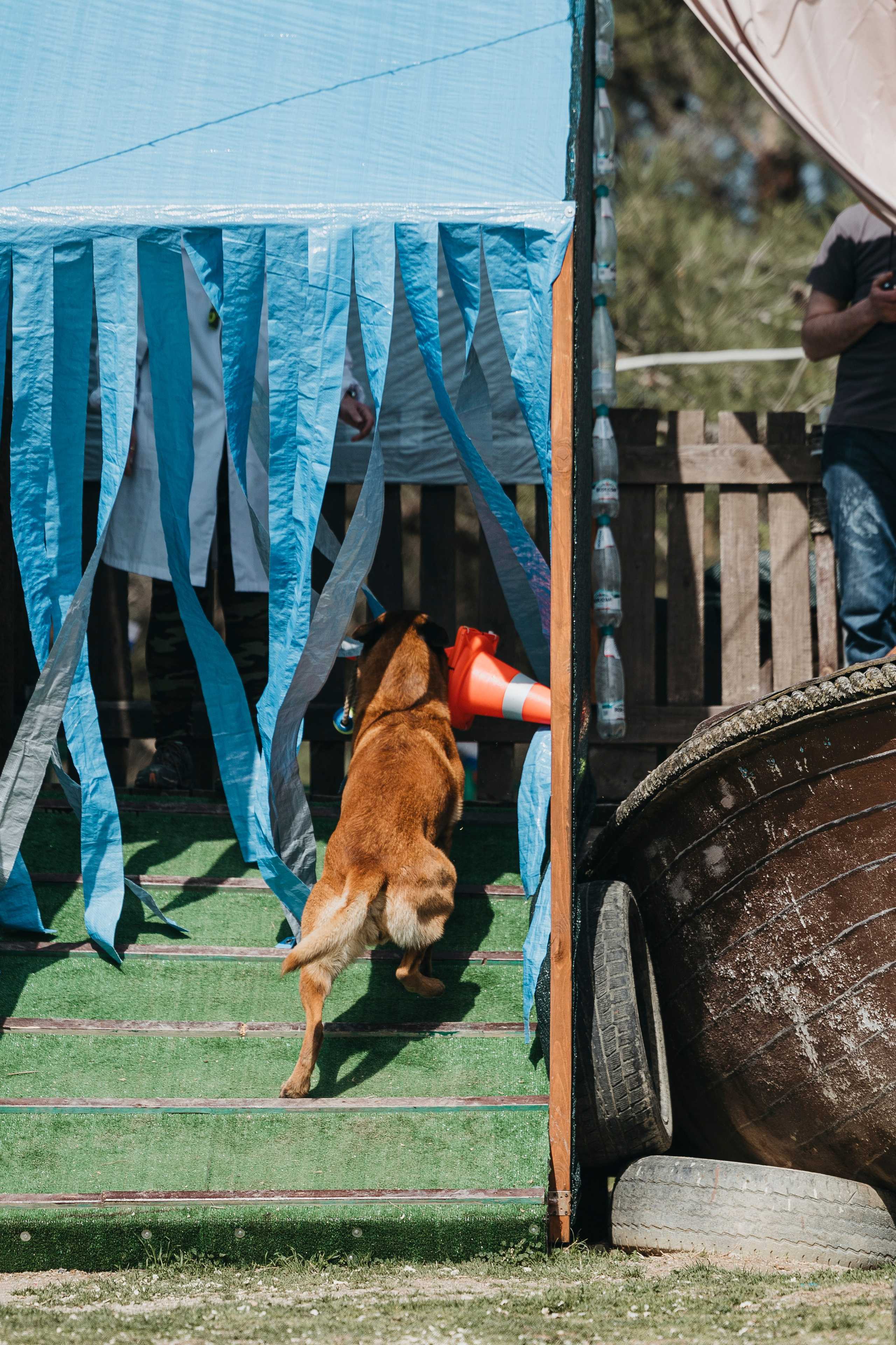 Геленджик Мондьоринг. Фотограф-анималист Анна Маринич