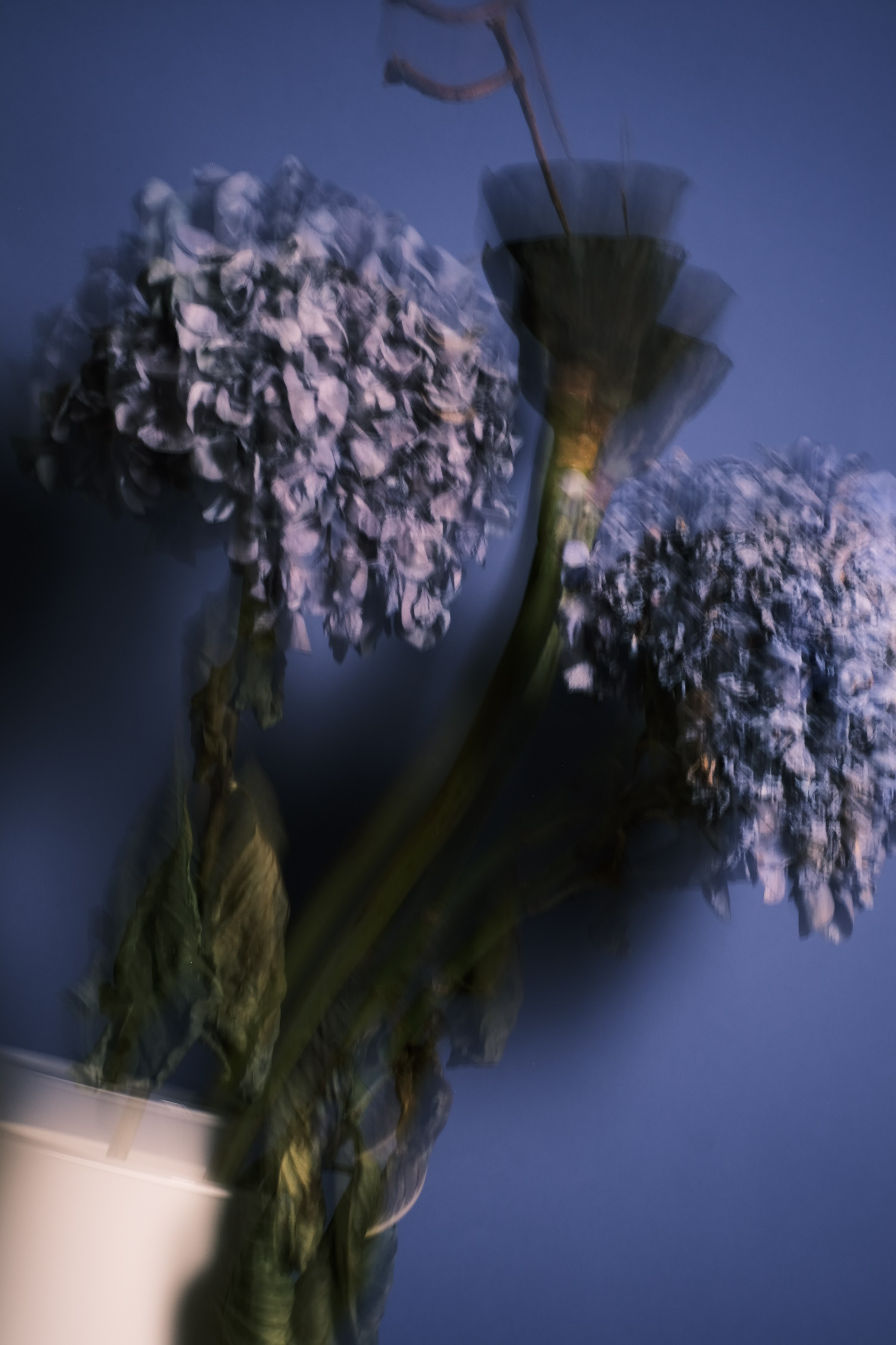 Цветочные принты. Фотограф Анна Чанаях