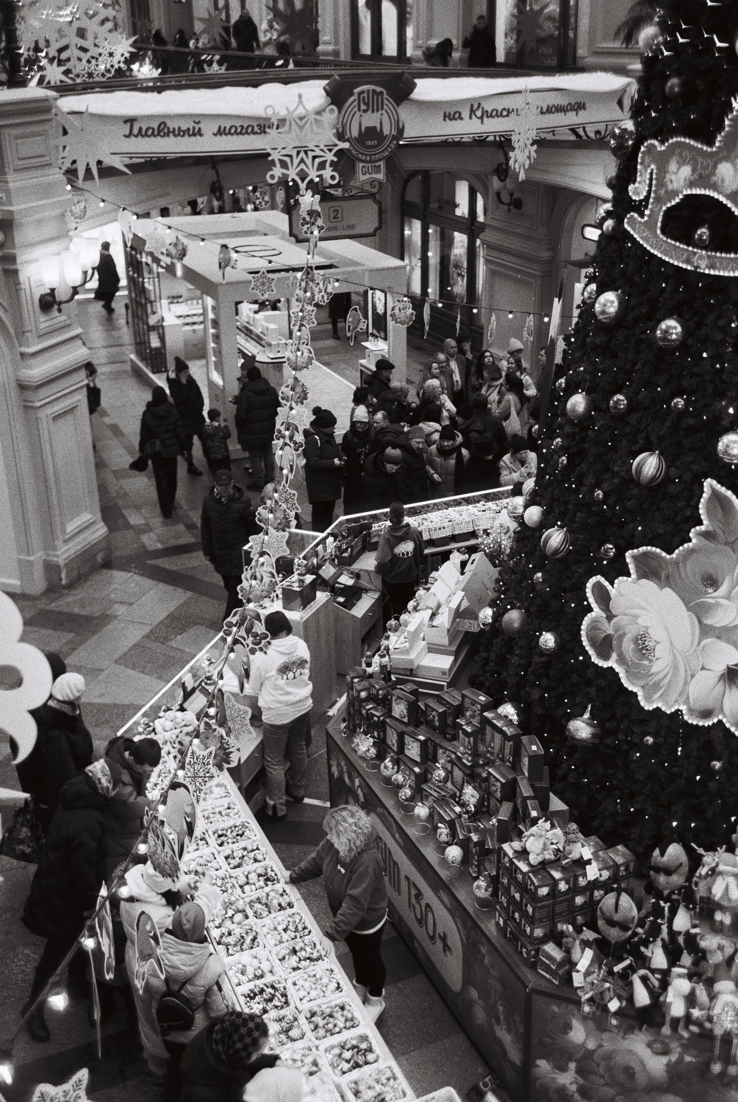 Grain. Artem Khusainov