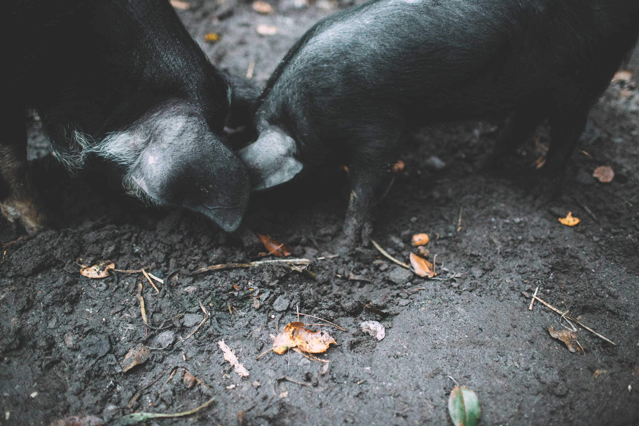 PROJECTS. Nastya Marchenko — based in Moscow Art and Documentary photographer. Works with memory, revelation, vulnerability & human states worldwide