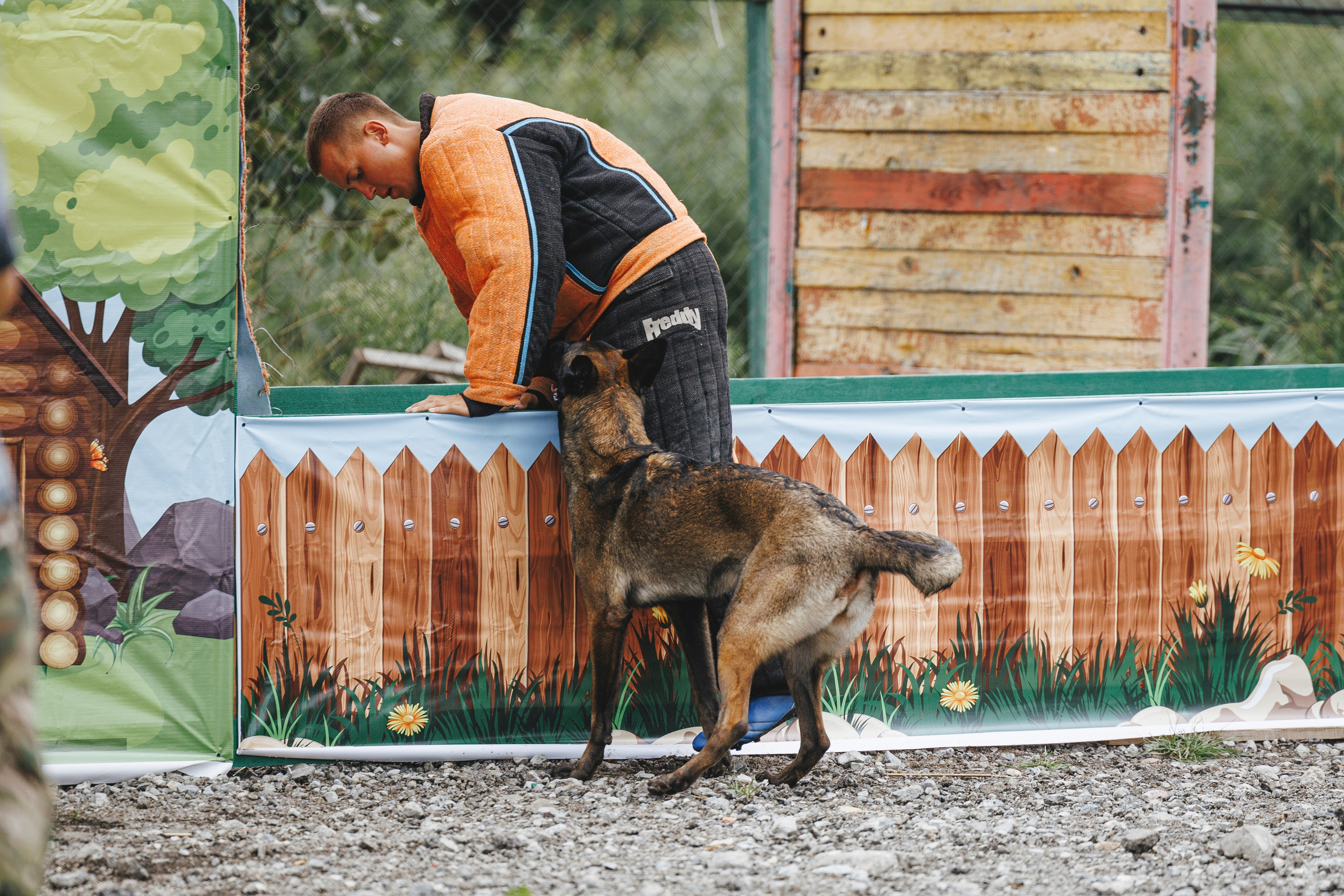 08.08.25-10.08.25 ЧР по мондьорингу г. Вологда. Фотограф-анималист Анна Маринич