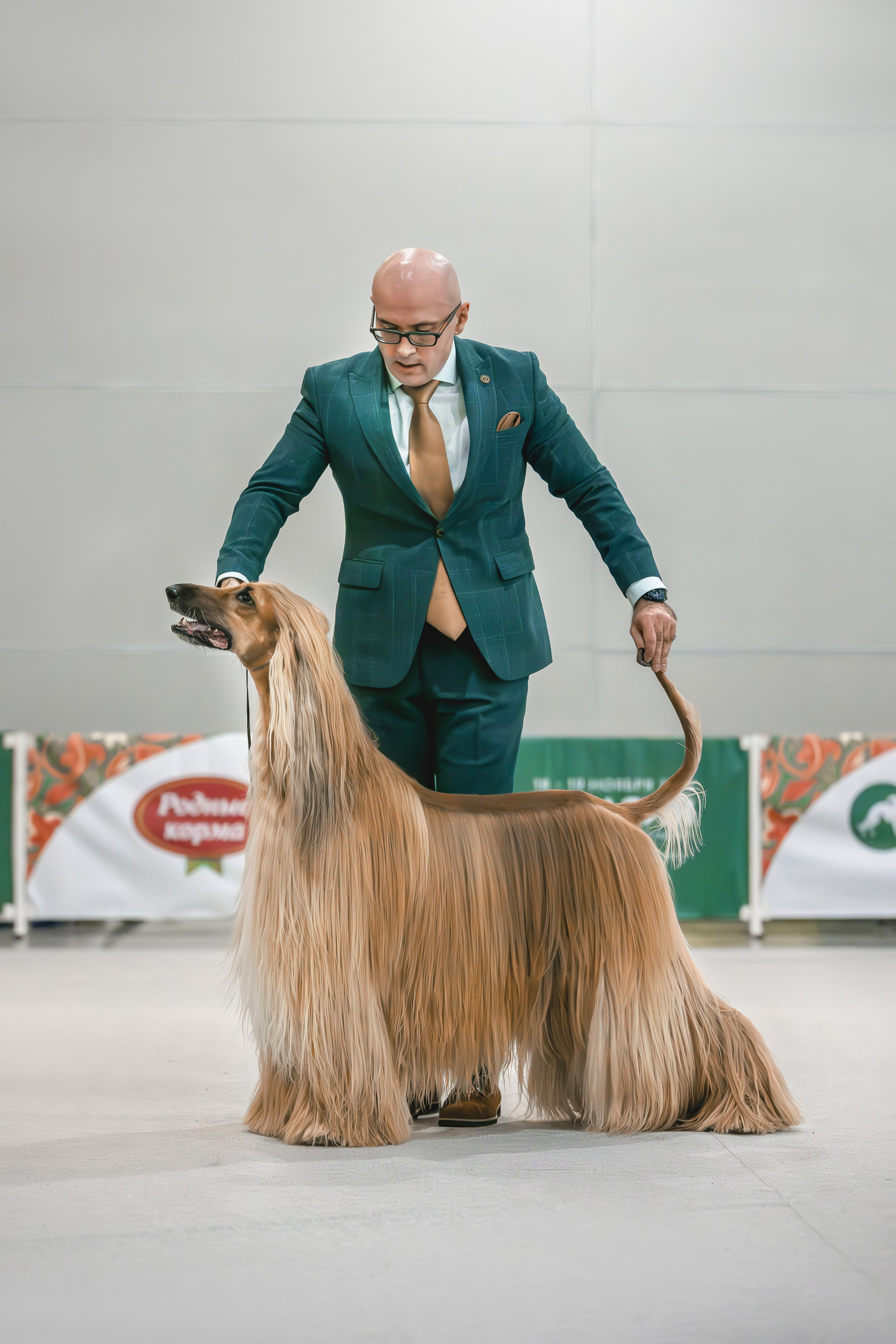 Выставки. Фотограф анималист в Москве Майорова Евгения