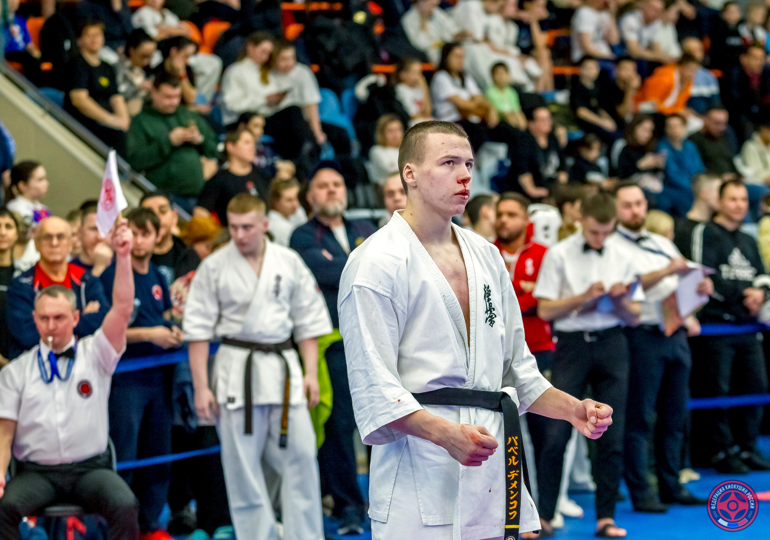 Международный турнир по киокушин «Открытый кубок Seiken». Репортажная съемка в Москве и области. Анималистика