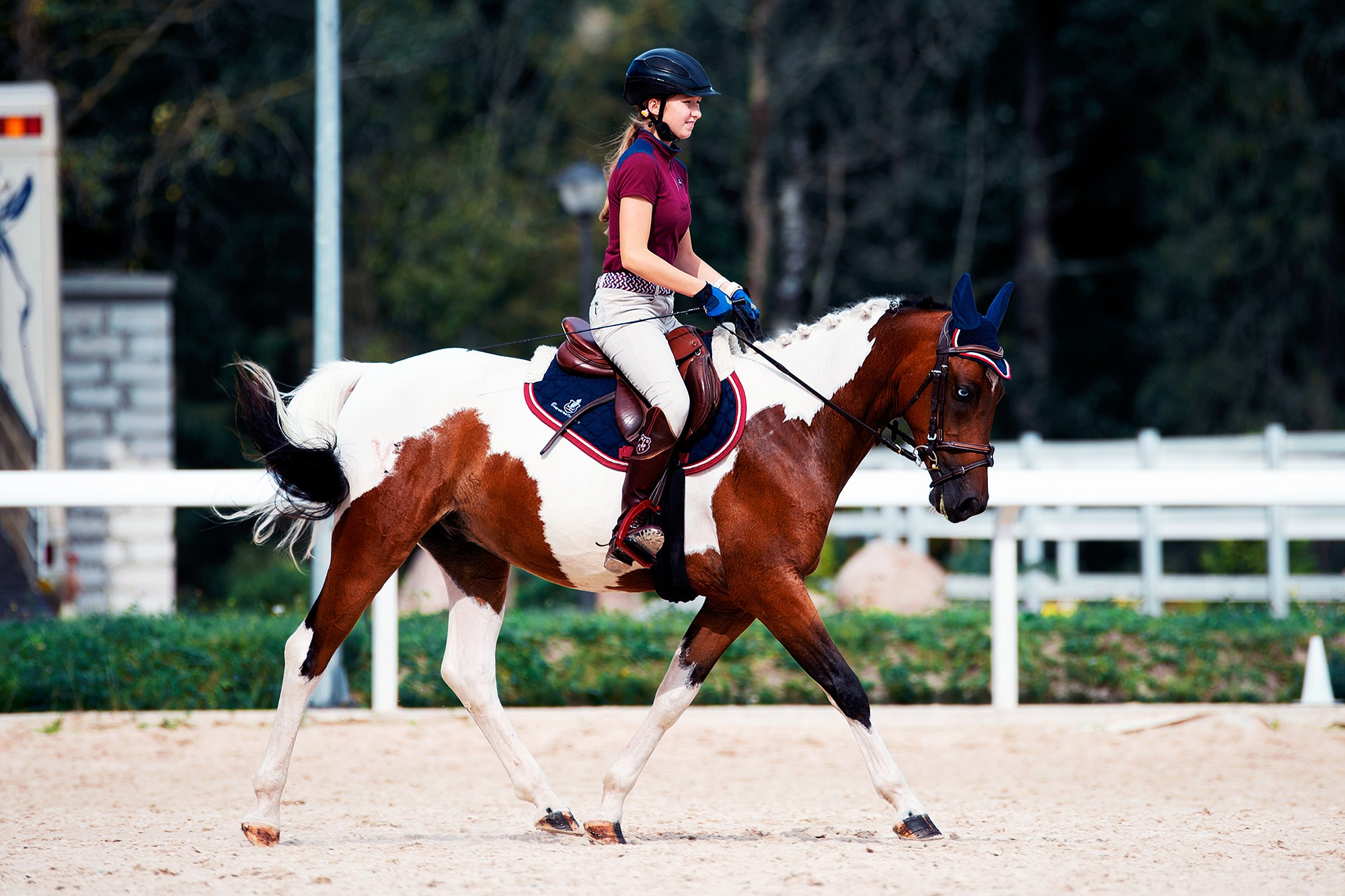 Тренировки. Конный фотограф Alesya Safe