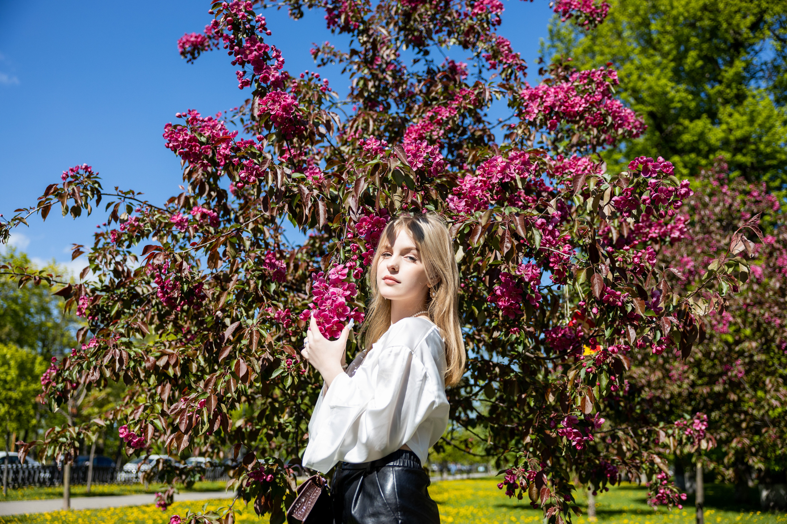 Школьница на фоне цветущего розового куста