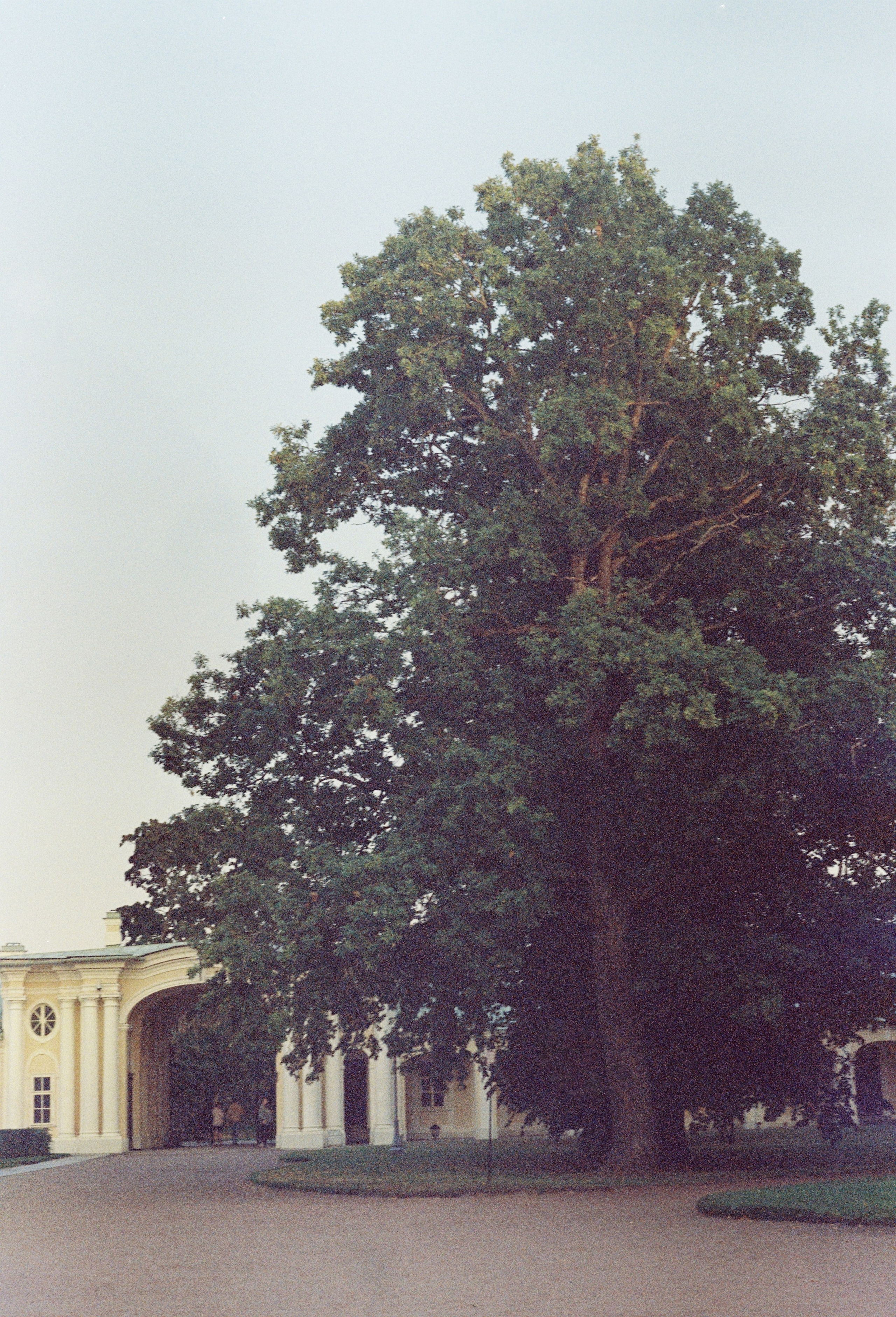 Съёмка на цветную фотопленку. Фотограф в Санкт-Петербурге и Москве Наталья Милли