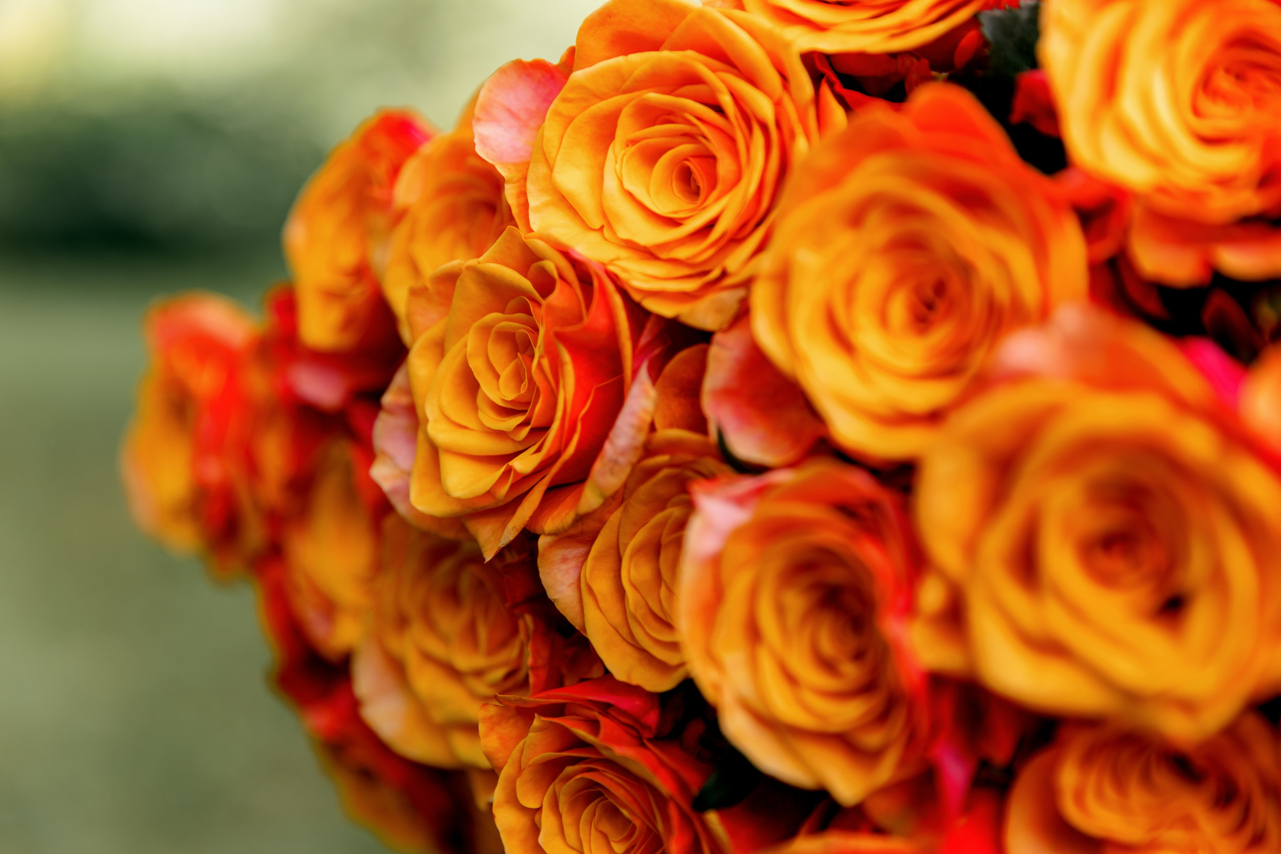 Валентин и Анастасия. Свадебный и семейный фотограф в Туле и области Маша Костина