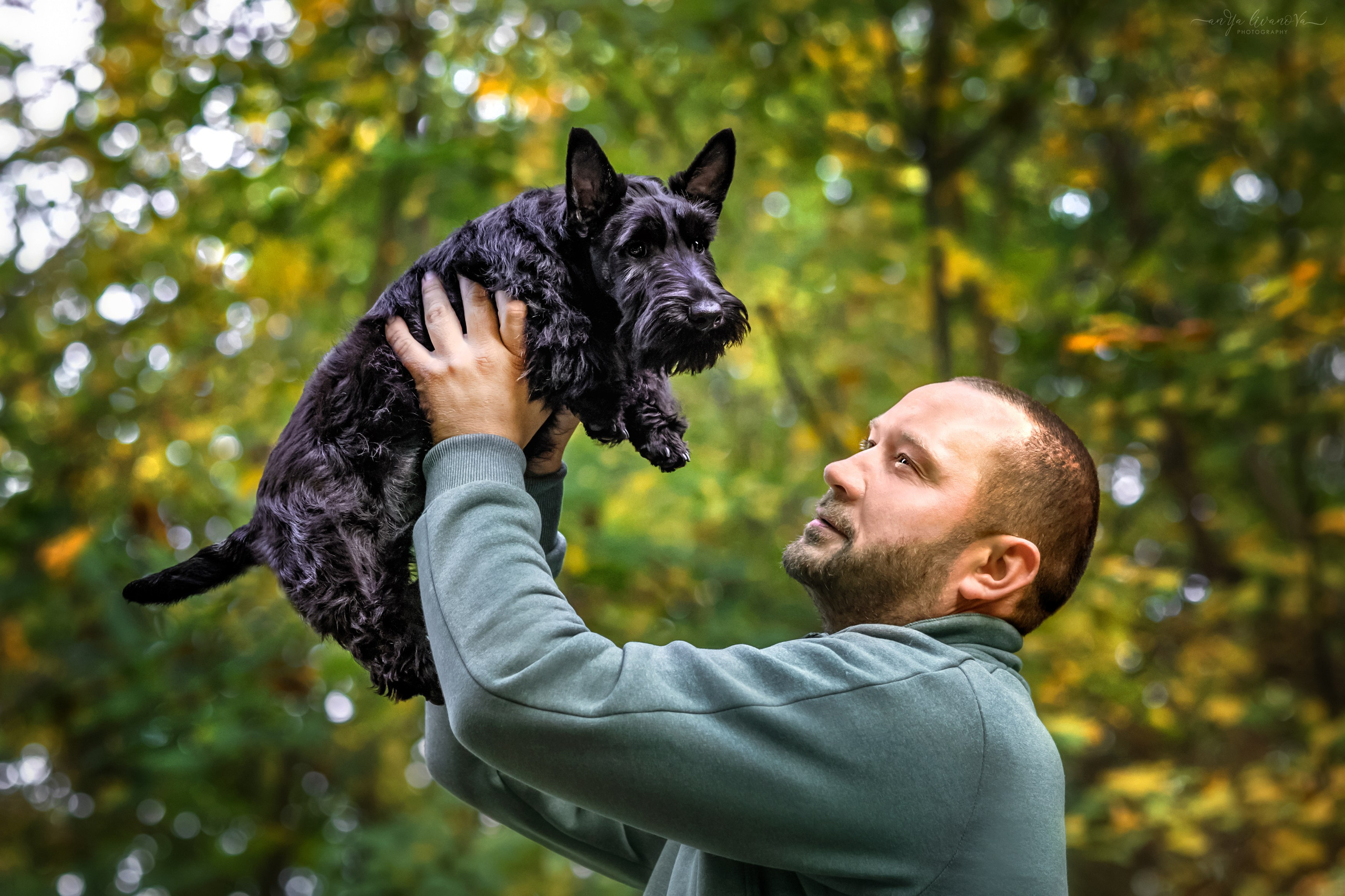 Скотчики Аврора и Амира. Фотограф анималист Аня Ливанова | Рыбинск