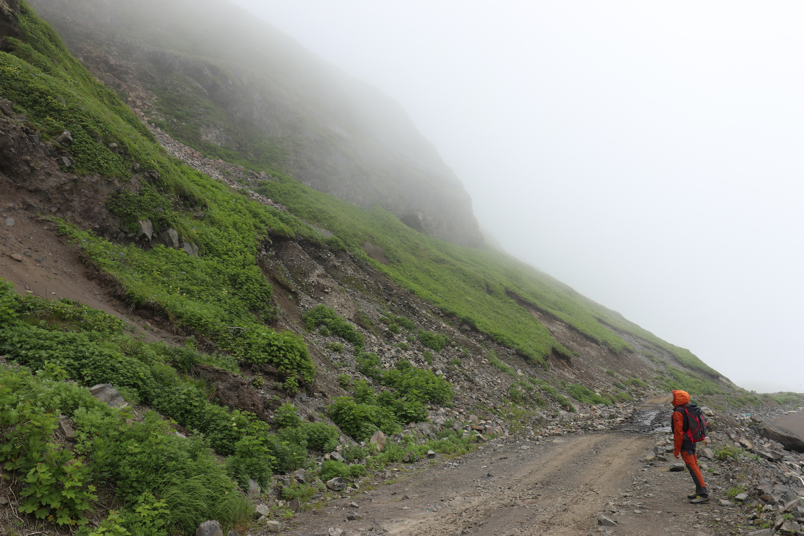 Камчатка и о. Парамушир. Июль 2024. Путешественник-фотограф из Санкт-Петербурга Татьяна Свистулина