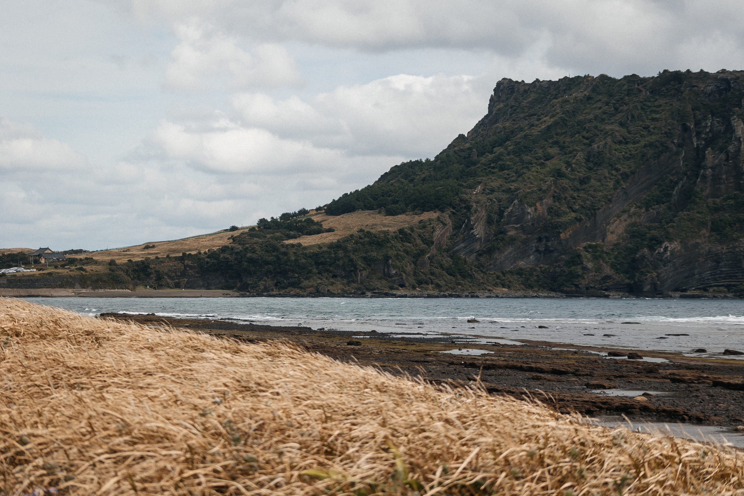 Jeju, South Korea. Свадебный фотограф Москва и МО Паншина Дарья