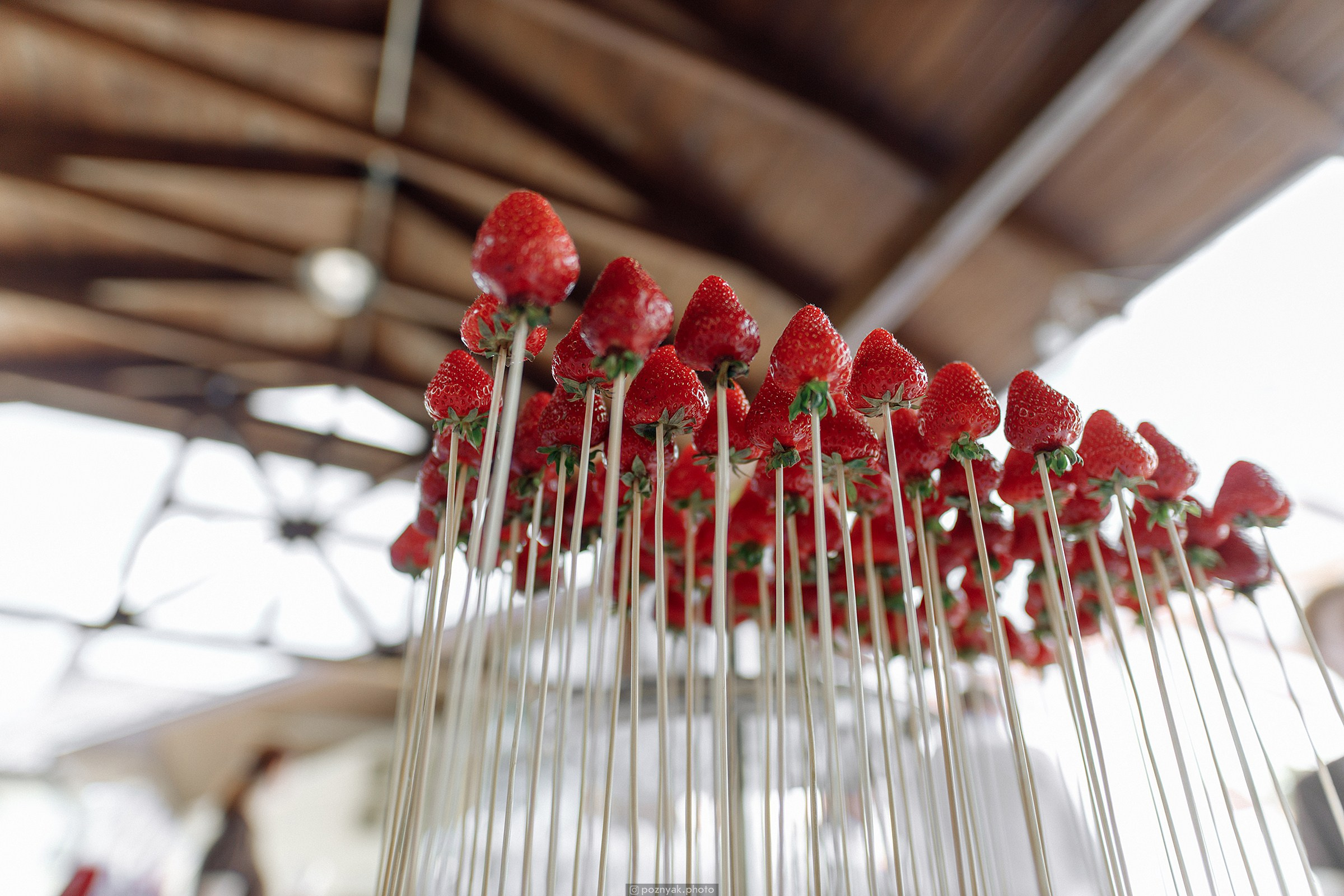 Игорь & Александра. Дмитрий Позняк — свадебный фотограф в Брянске. Личный сайт фотографа
