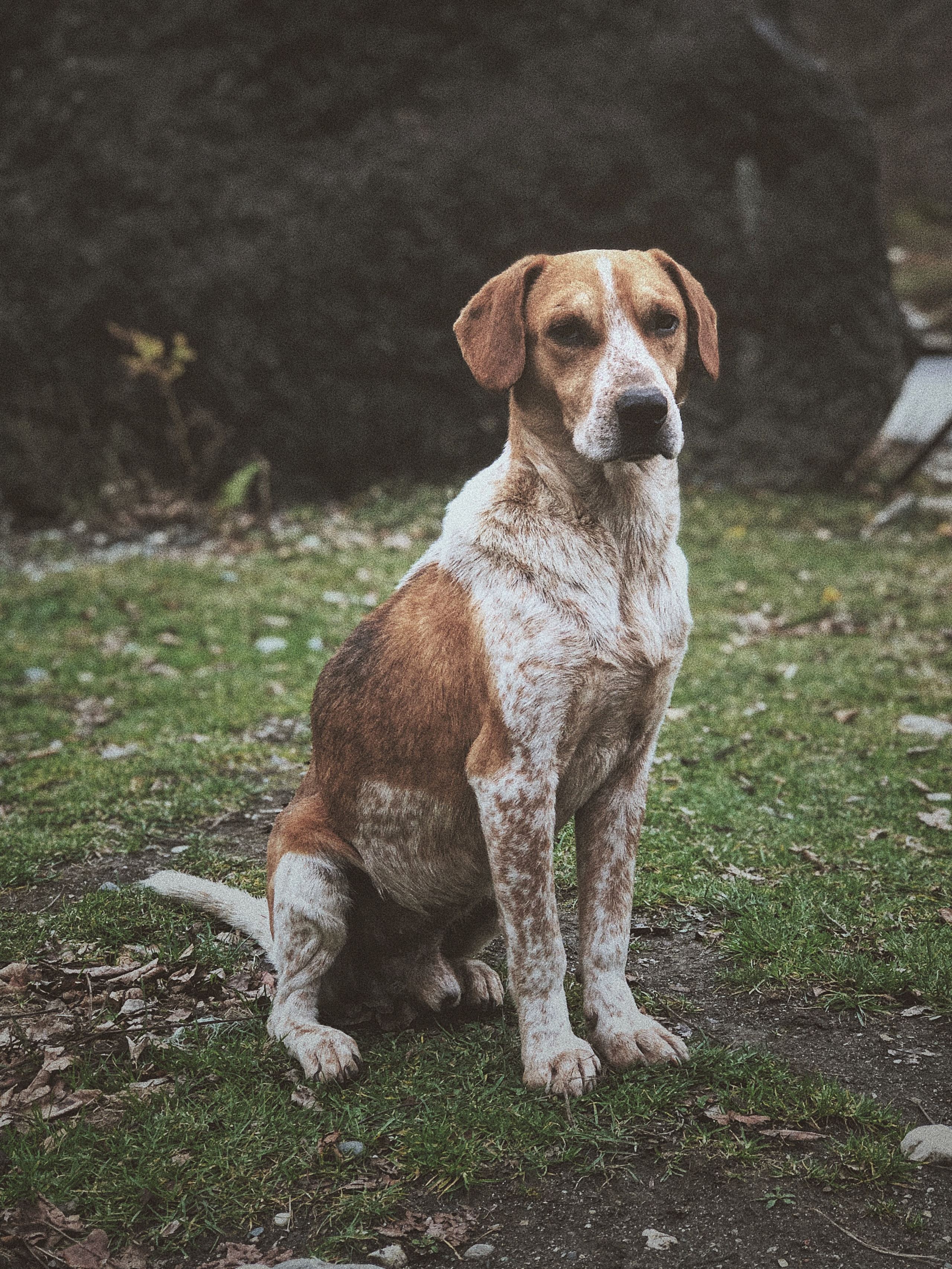 Мобилография. Семейный и свадебный фотограф Катя Антонова Москва Сочи