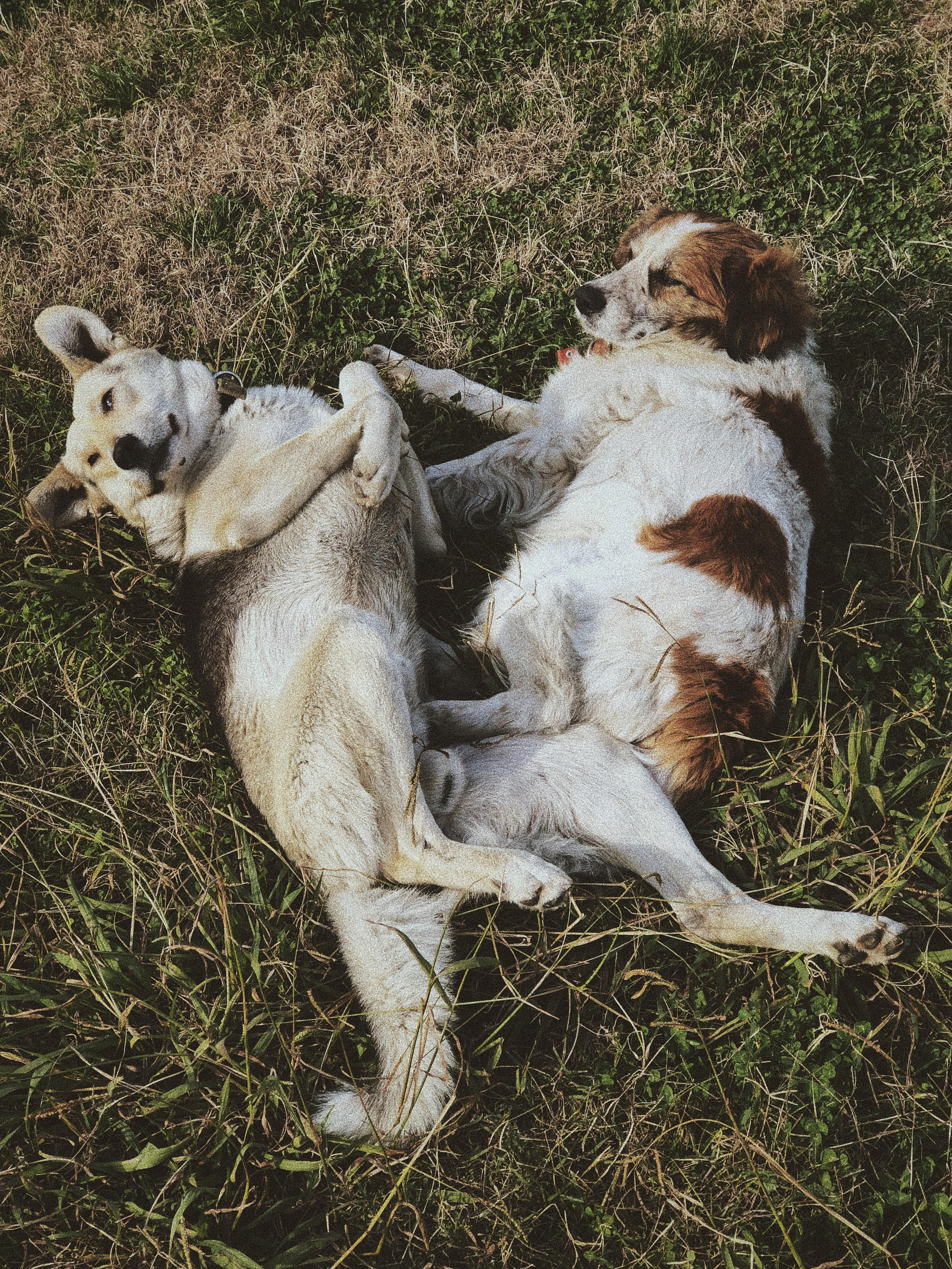 Мобилография. Семейный и свадебный фотограф Катя Антонова Москва Сочи
