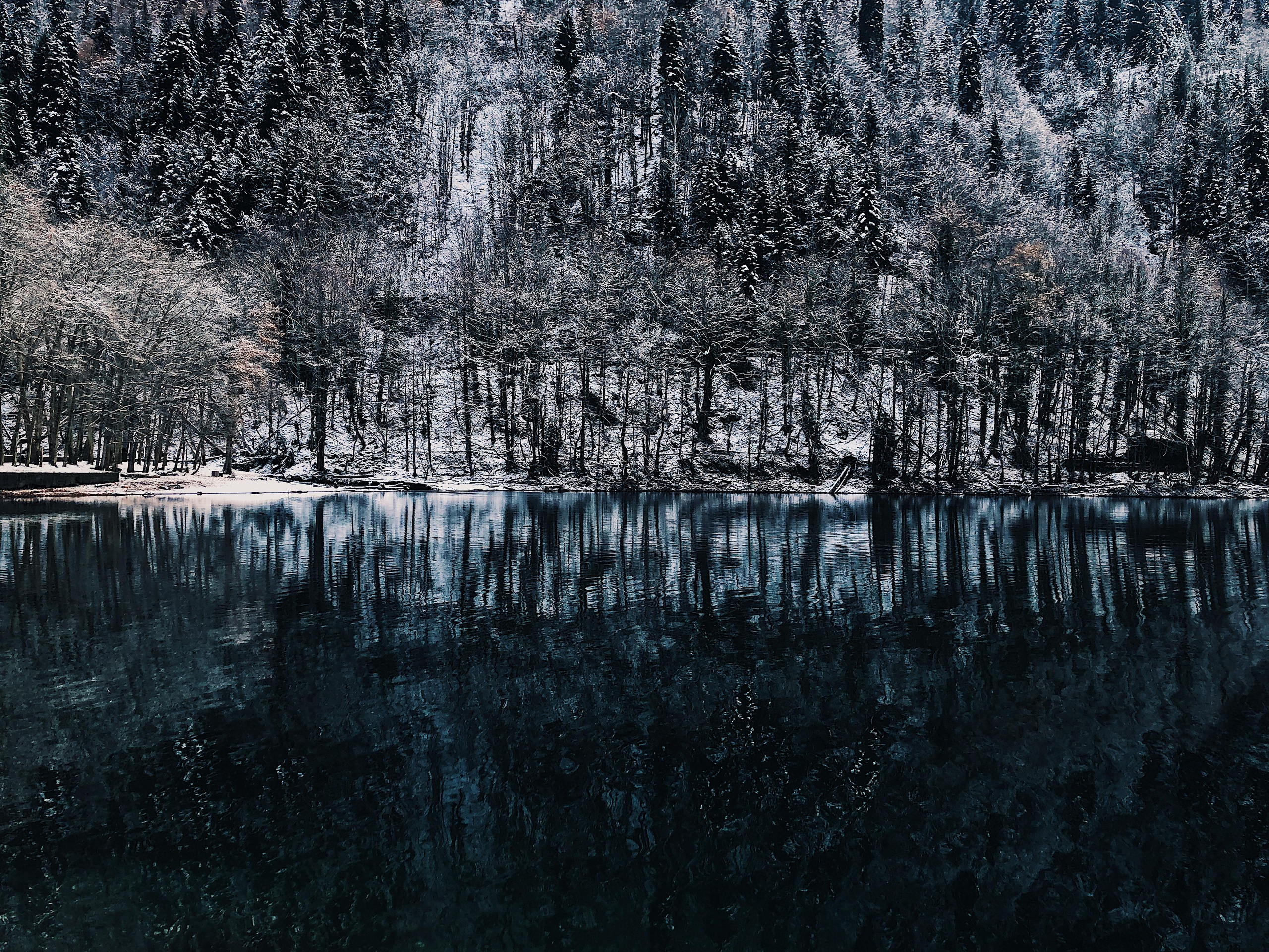 Мобилография. Семейный и свадебный фотограф Катя Антонова Москва Сочи