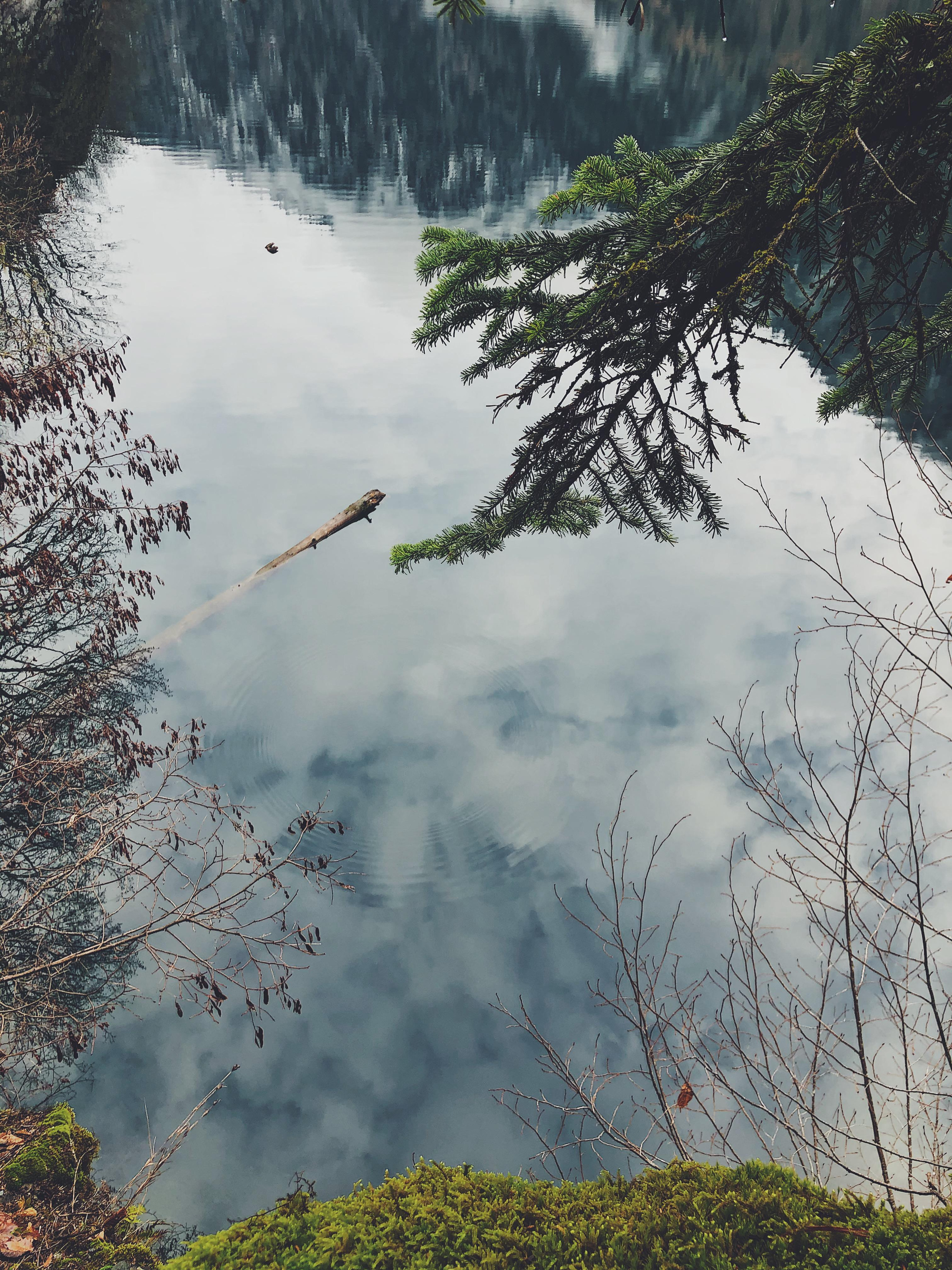 Мобилография. Семейный и свадебный фотограф Катя Антонова Москва Сочи