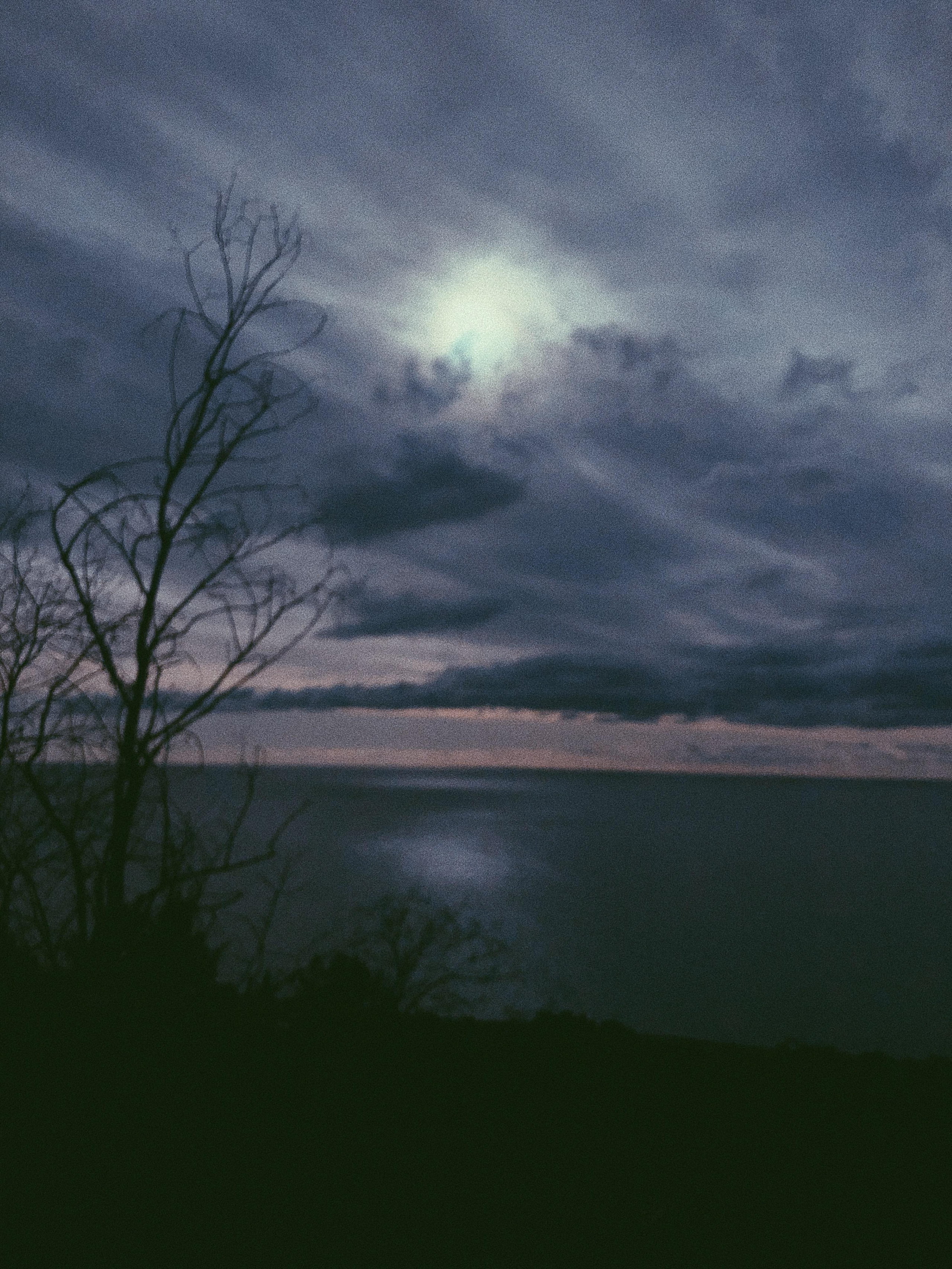 Мобилография. Семейный и свадебный фотограф Катя Антонова Москва Сочи