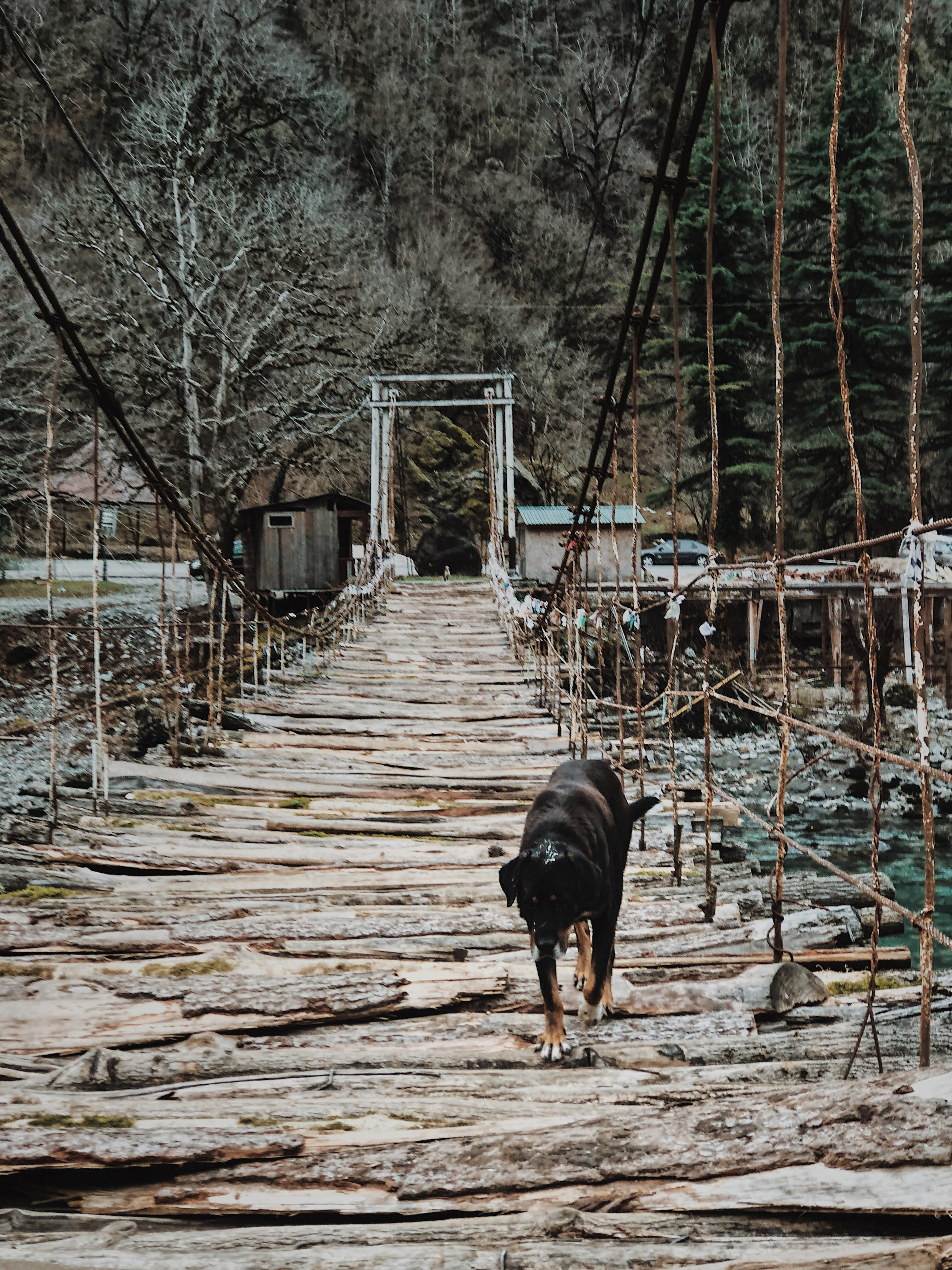 Мобилография. Семейный и свадебный фотограф Катя Антонова Москва Сочи