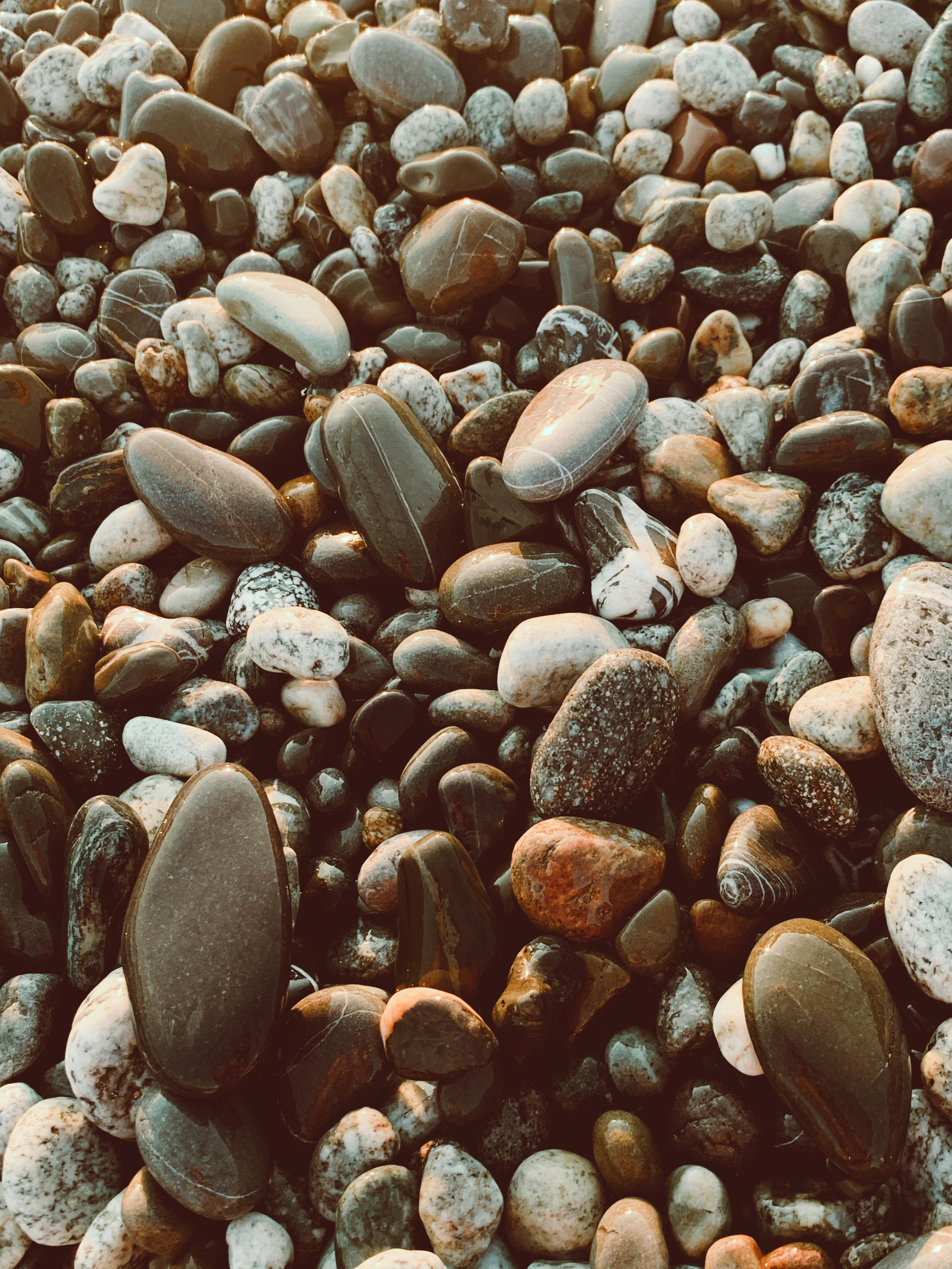 Мобилография. Семейный и свадебный фотограф Катя Антонова Москва Сочи