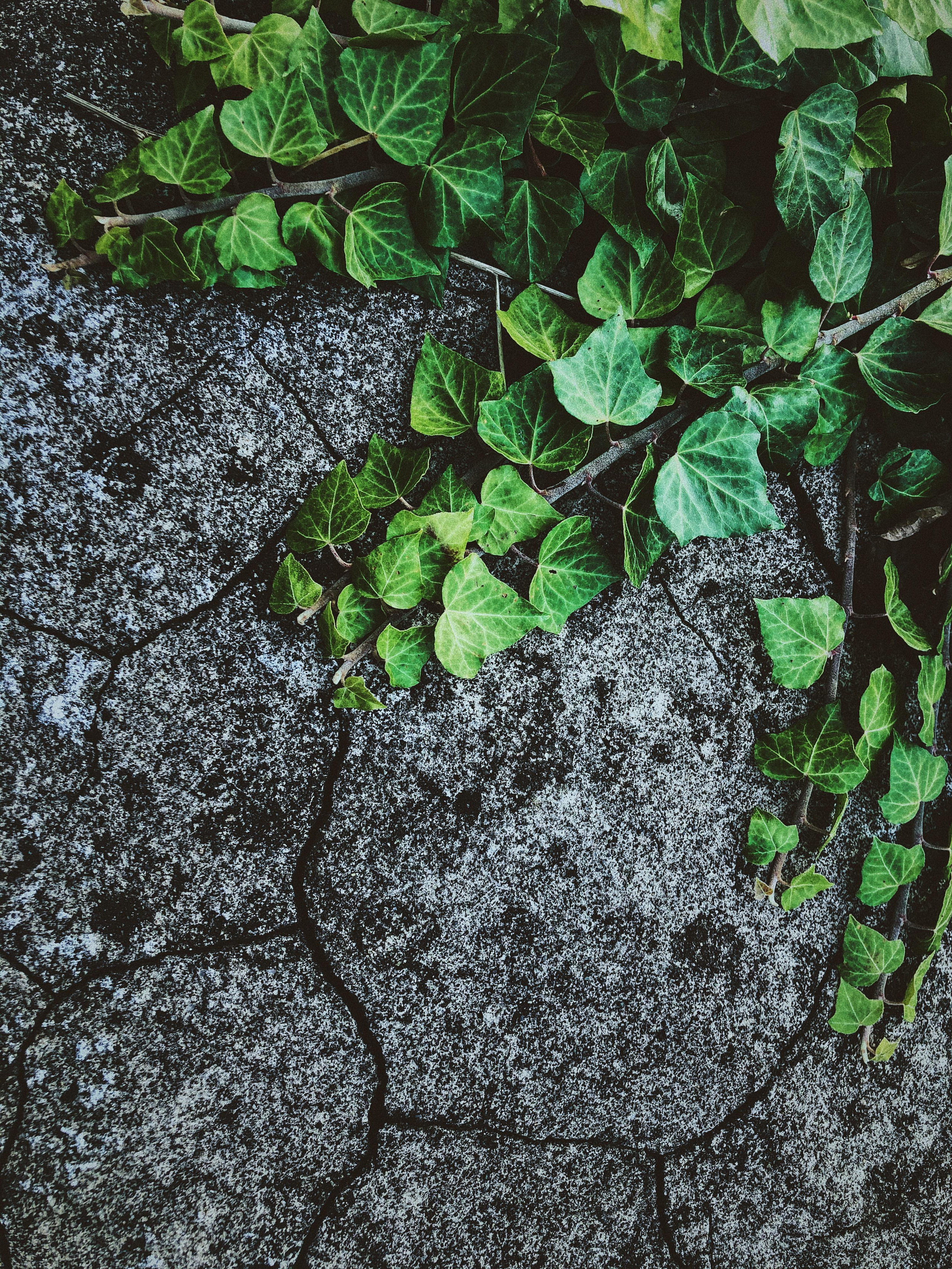 Мобилография. Семейный и свадебный фотограф Катя Антонова Москва Сочи