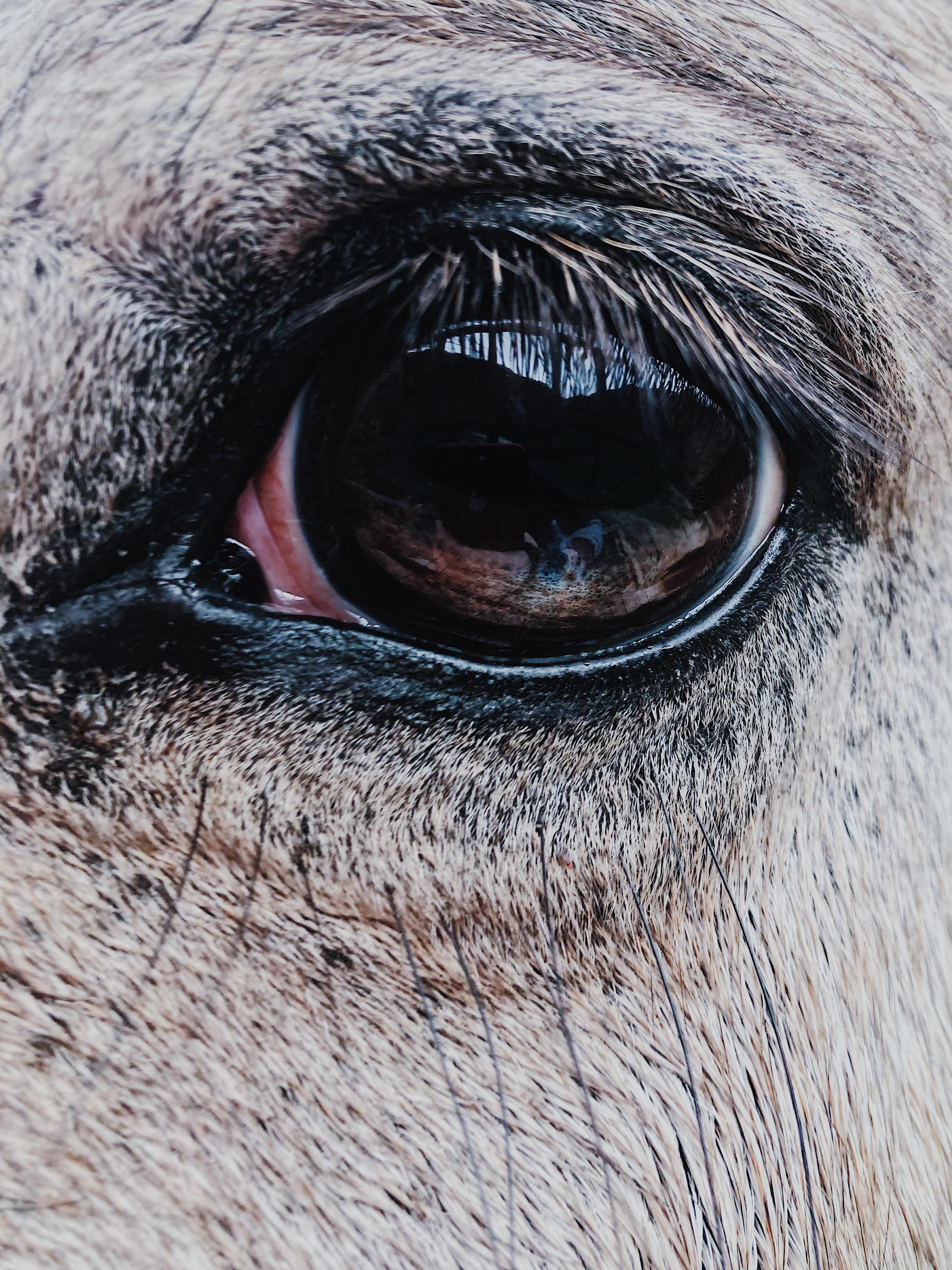 Мобилография. Семейный и свадебный фотограф Катя Антонова Москва Сочи