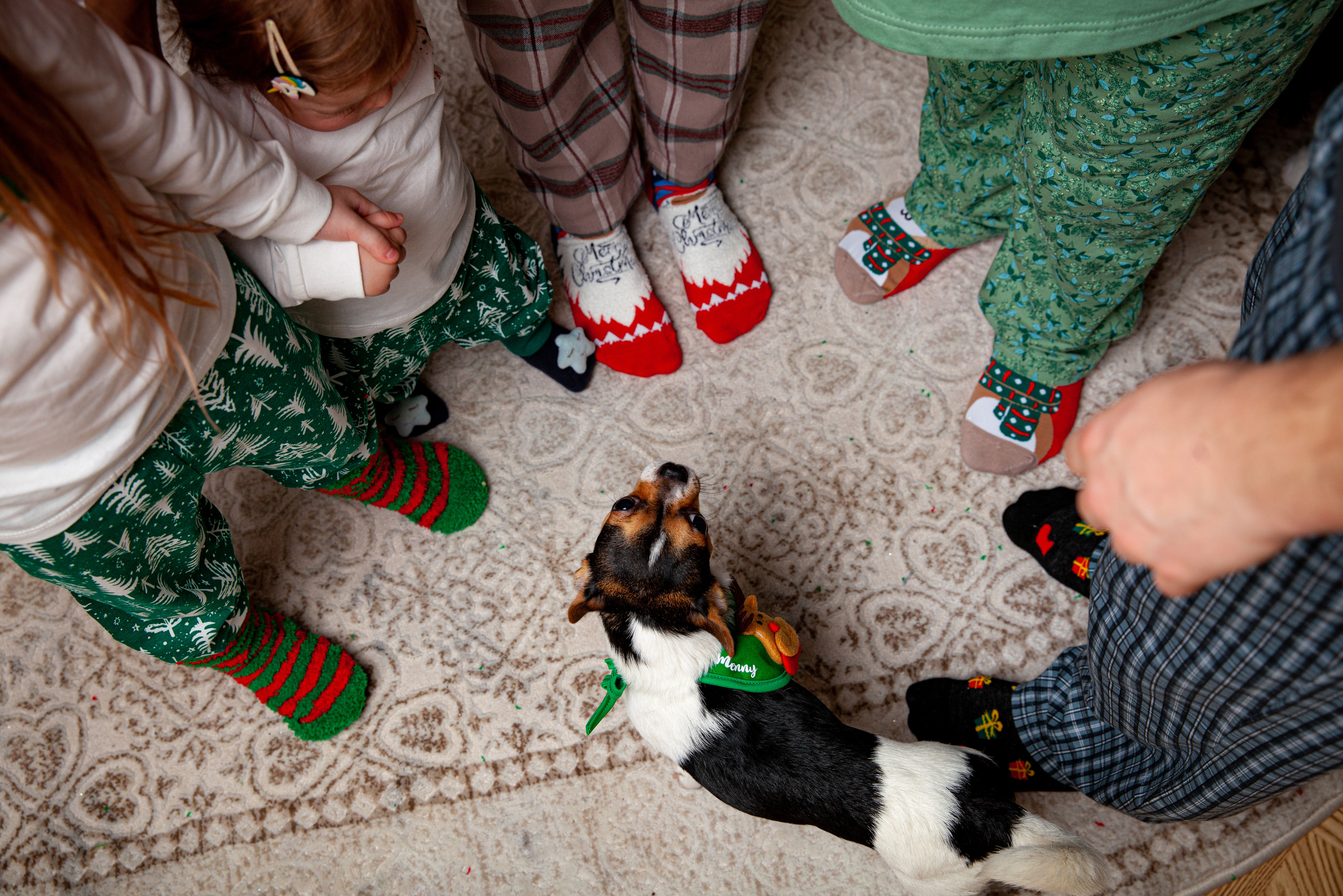 Надя, Макс, Аня, Настя, бабушка и Лаки. Фотограф в Железнодорожном и Балашихе