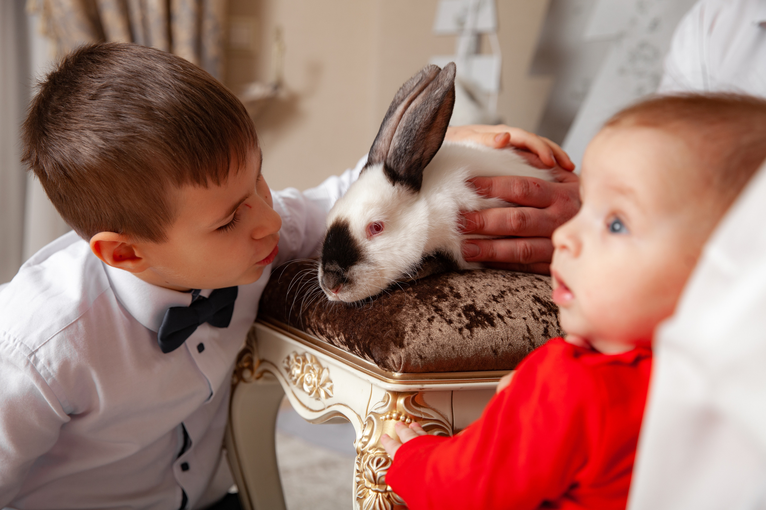 Новогодняя фотосессия для Оли и семьи. Фотограф в Железнодорожном и Балашихе