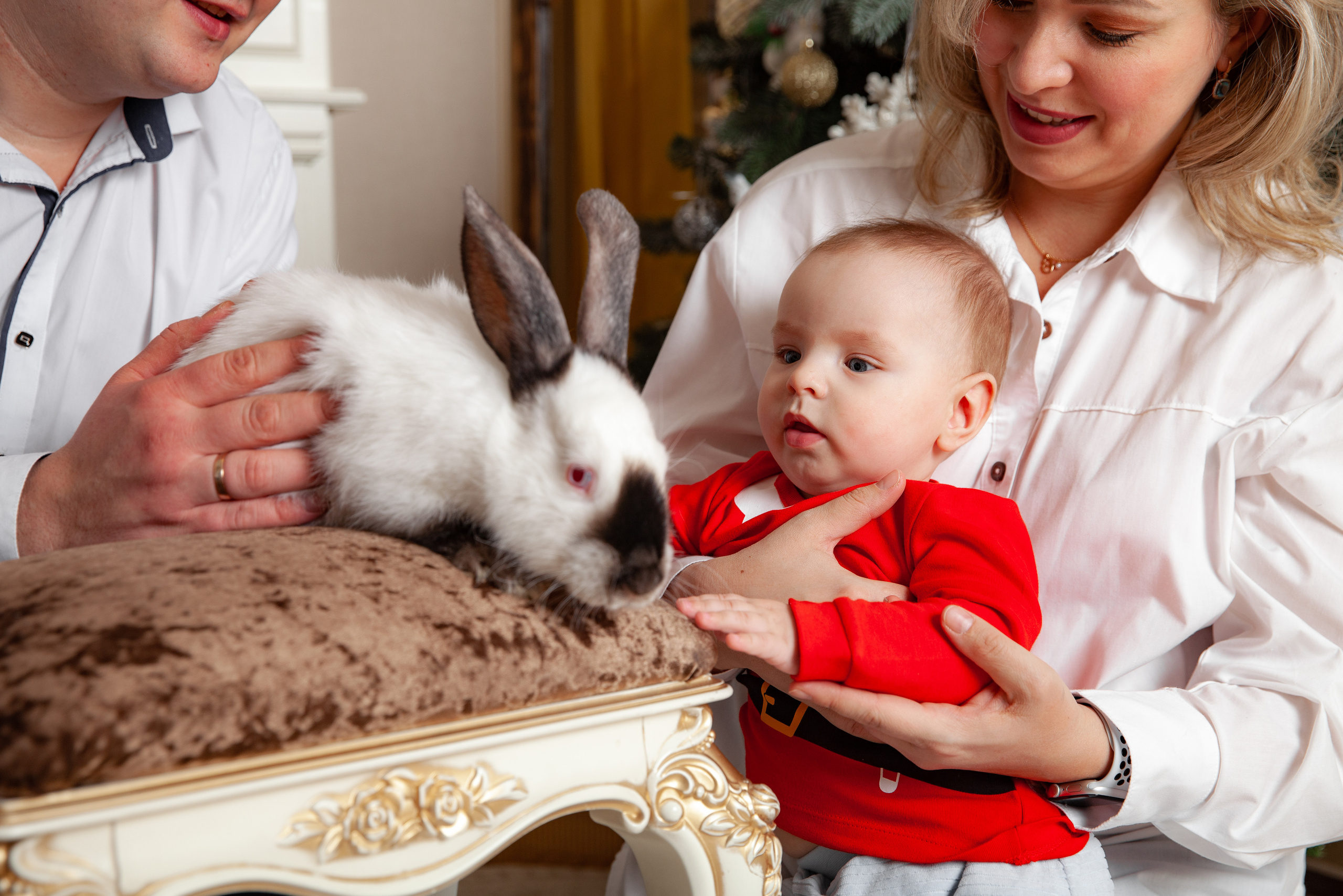 Новогодняя фотосессия для Оли и семьи. Фотограф в Железнодорожном и Балашихе
