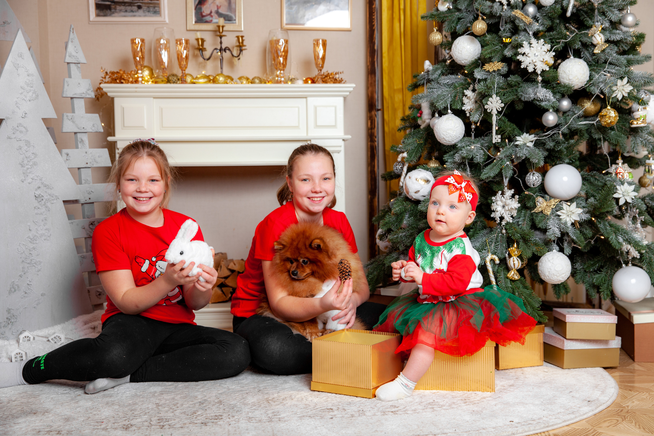 Новогодняя фотосессия для Елены. Фотограф в Железнодорожном и Балашихе
