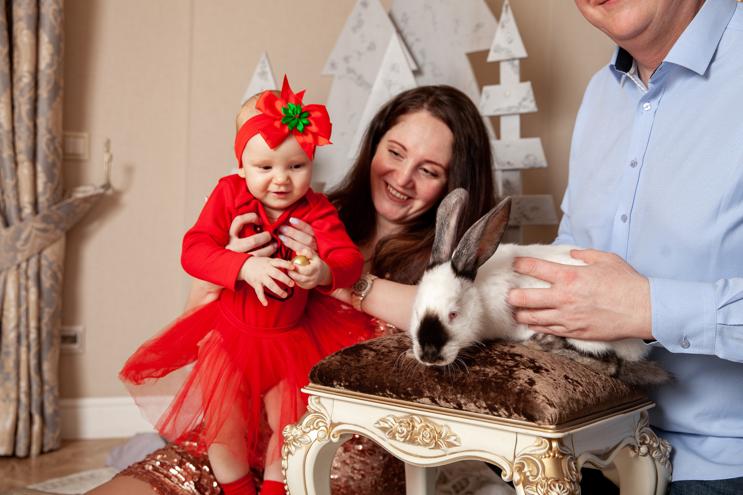 Новый год маленькой Ксюши и родителей. Фотограф в Железнодорожном и Балашихе
