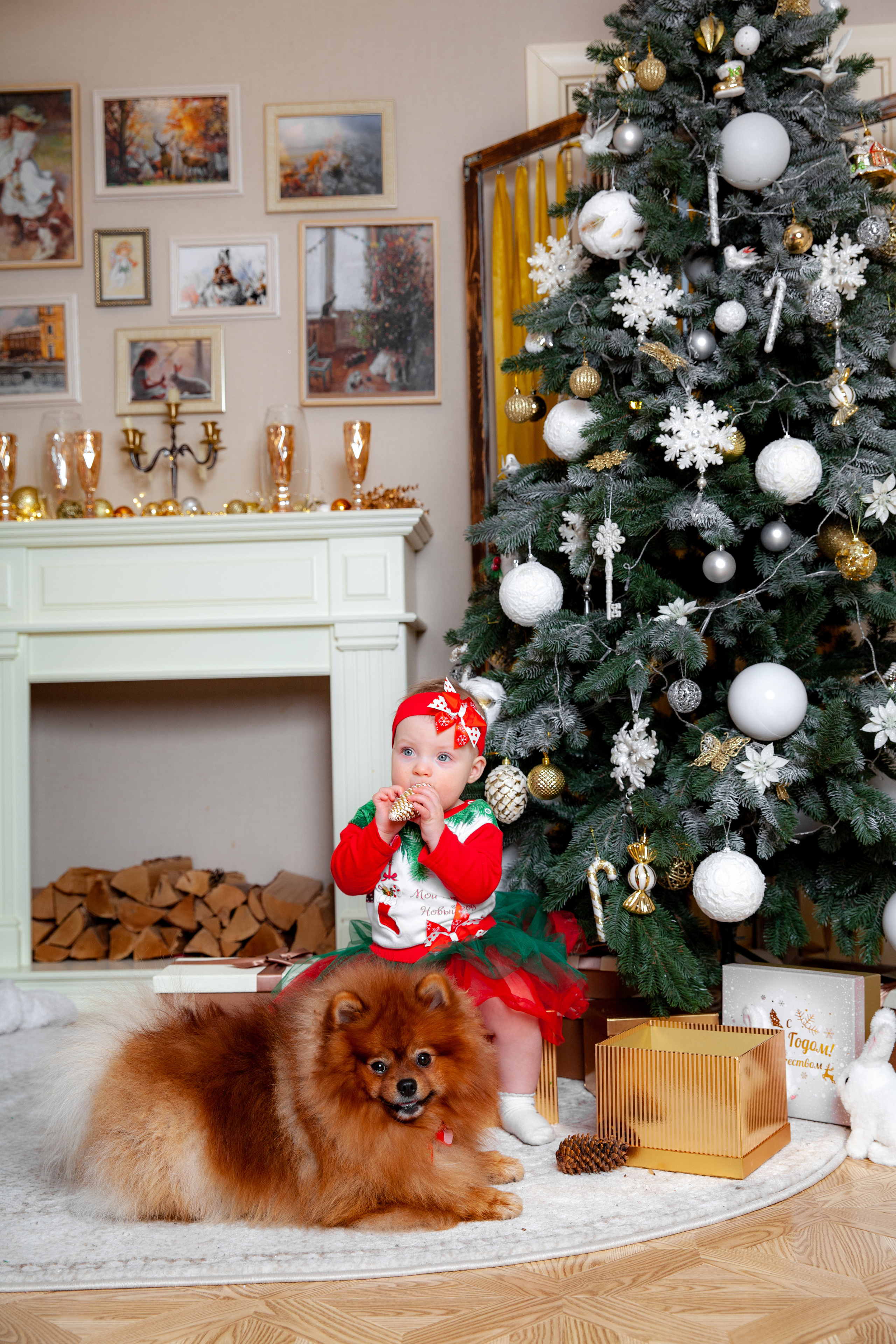 Новогодняя фотосессия для Елены. Фотограф в Железнодорожном и Балашихе