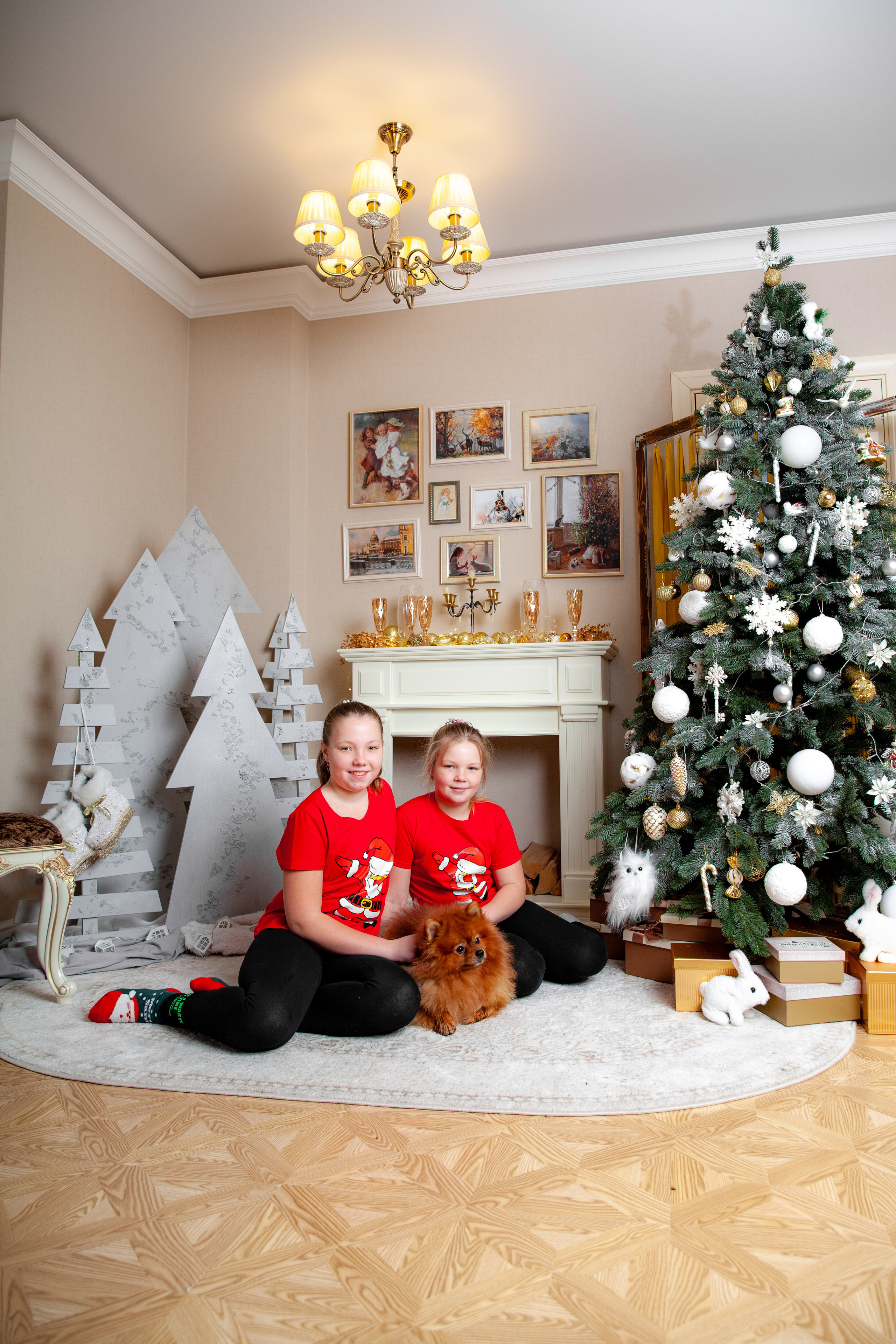 Новогодняя фотосессия для Елены. Фотограф в Железнодорожном и Балашихе