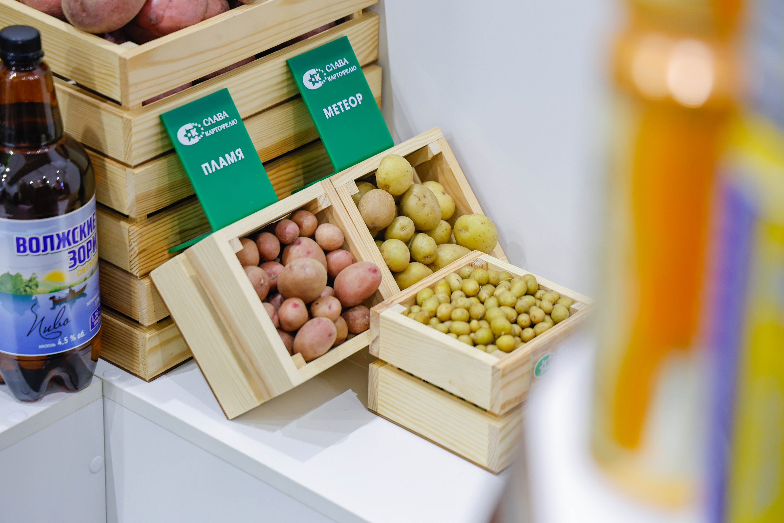 Выставка и Форум. Фотограф и видеограф — Москва