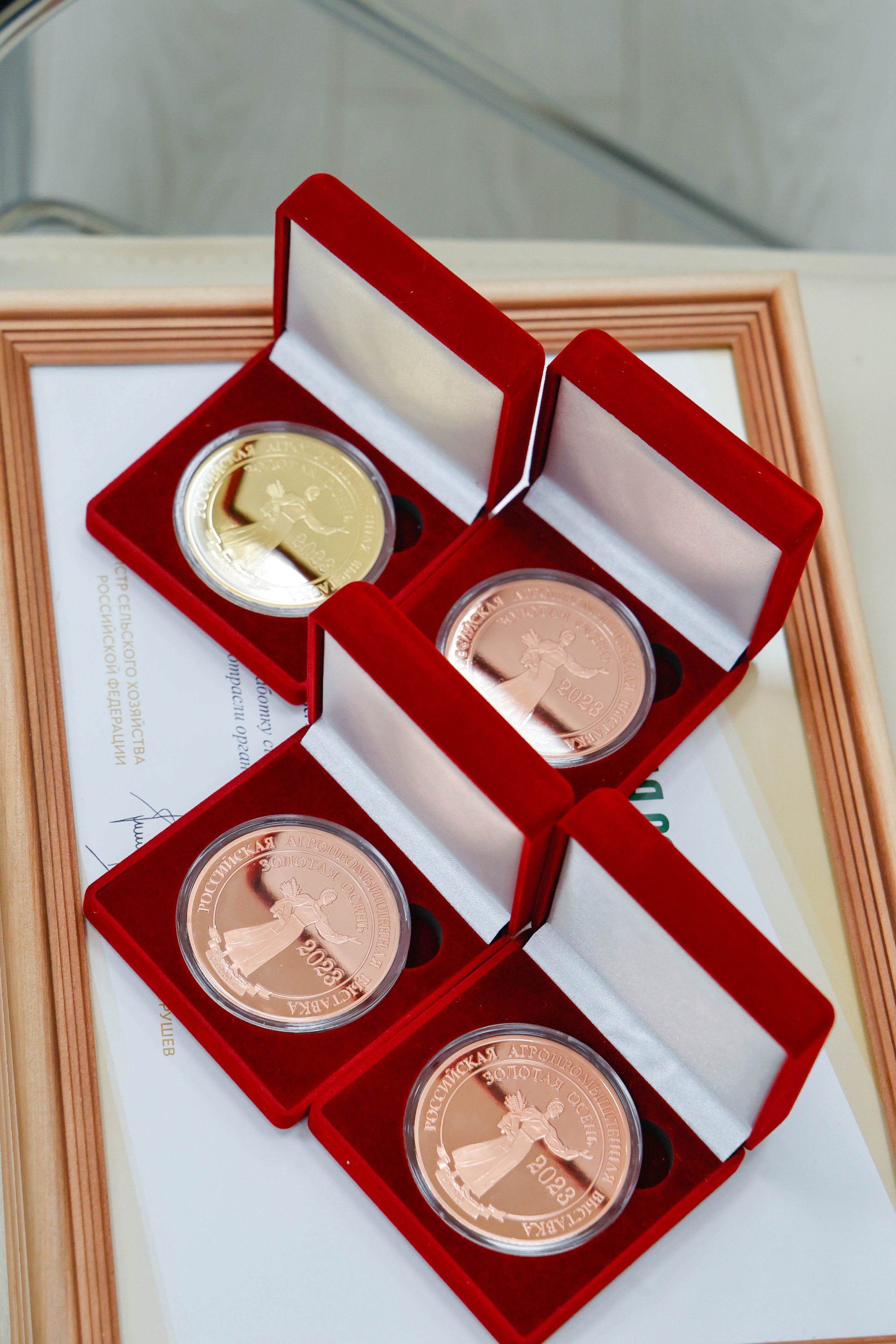 Выставка и Форум. Фотограф и видеограф — Москва