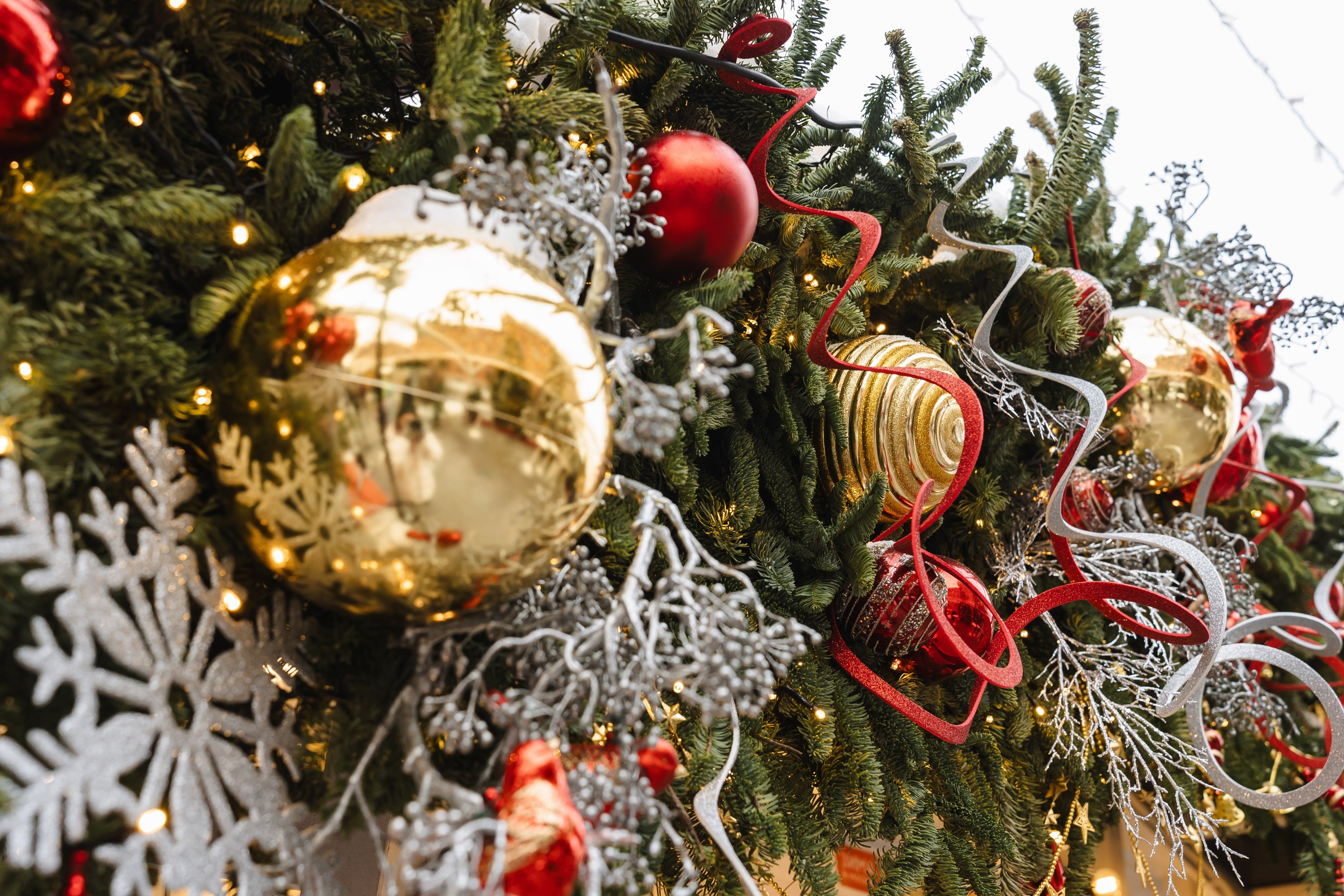 Полина и Игорь. Свадебный фотограф в Москве Яна Деньгина