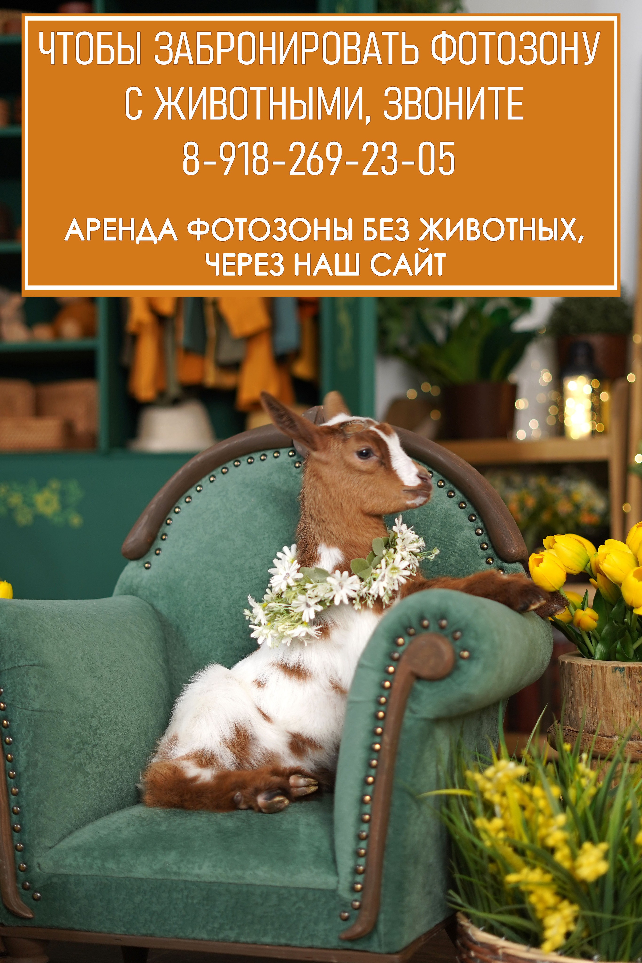 Фотостудия «Антураж» г. Краснодар