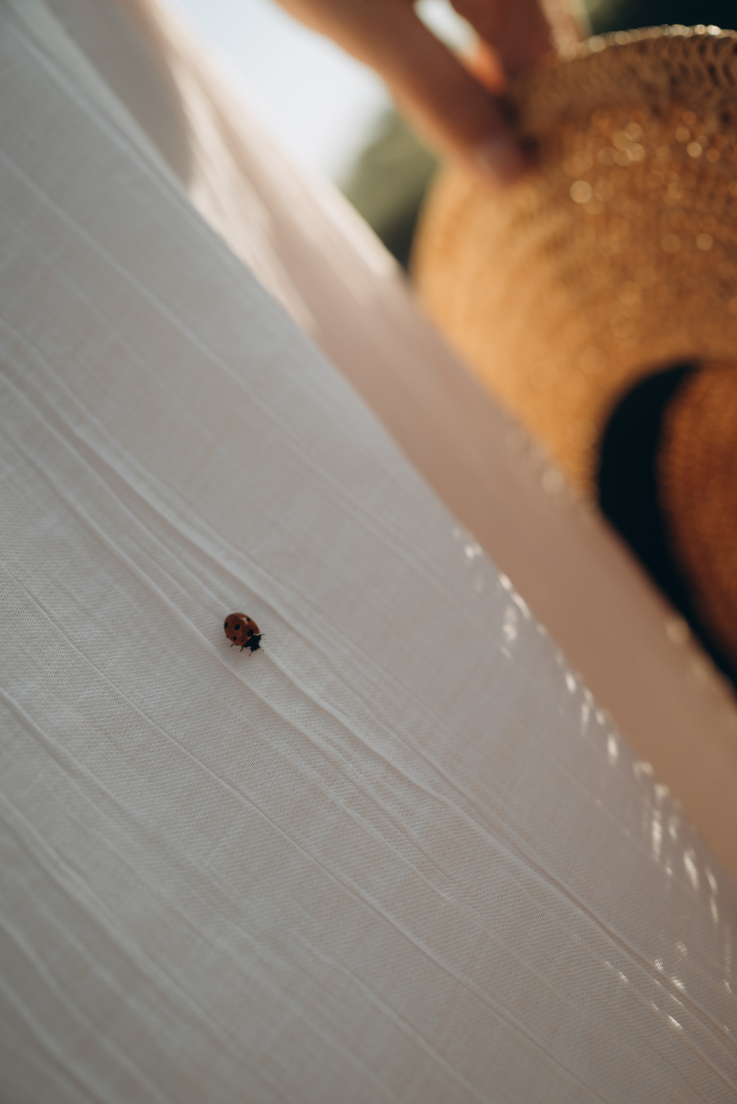 Путешествие на велосипеде. Семейный фотограф Ростов-на-Дону Татьяна Соколова