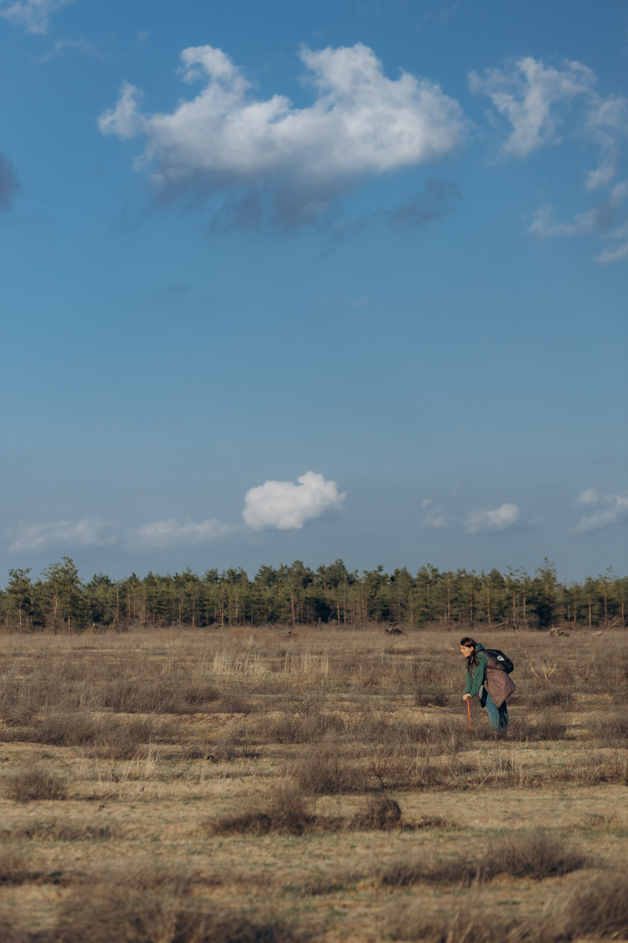 Акция «Лес будущего». Артём Панфилов — Свадебный и семейный фотограф в Ростове-на-Дону