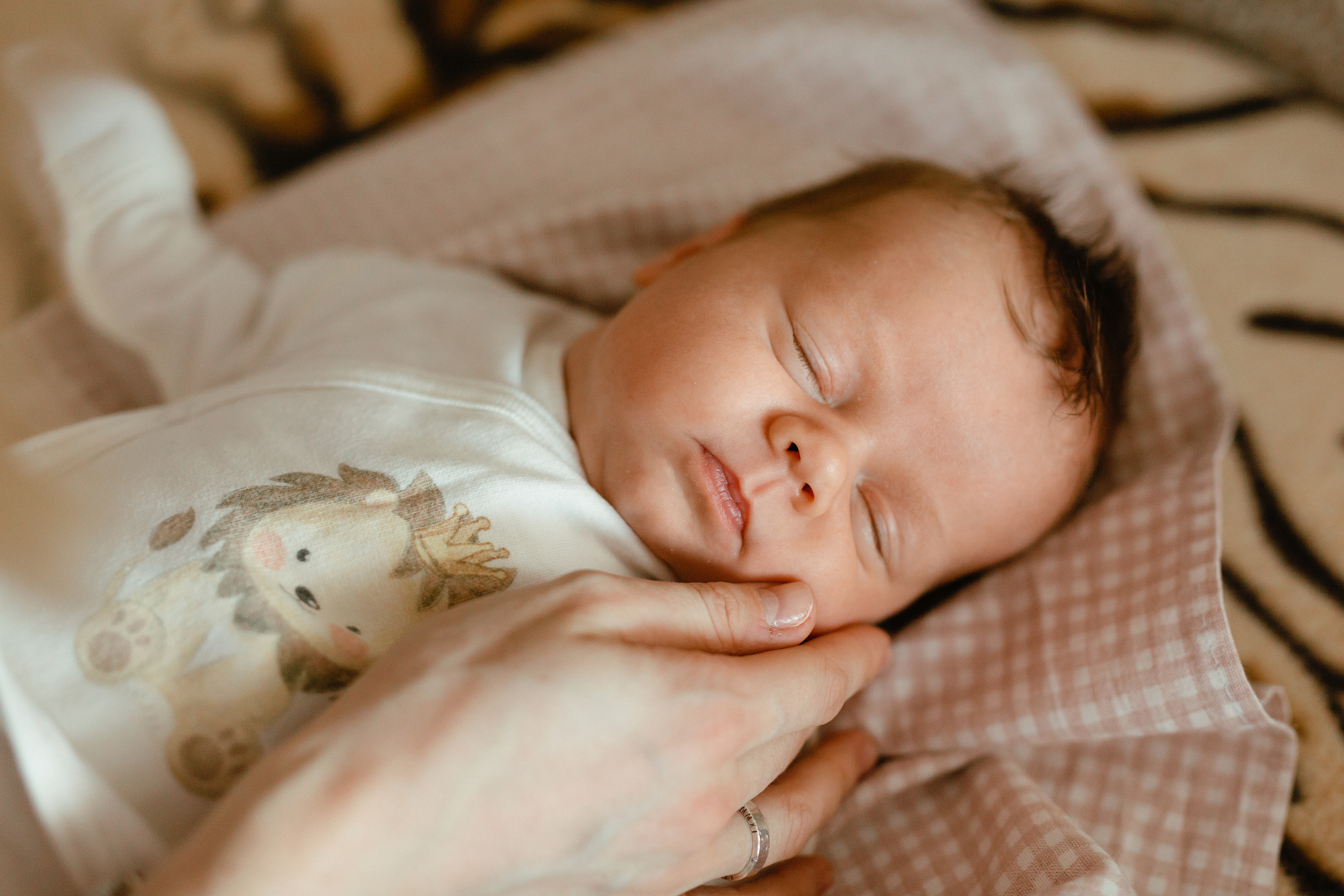 Семейная фотосессия Москва МО, семейный фотограф Москва и МО. Свадебный и контент фотограф в Москве — Юлия Барно (Баранова)